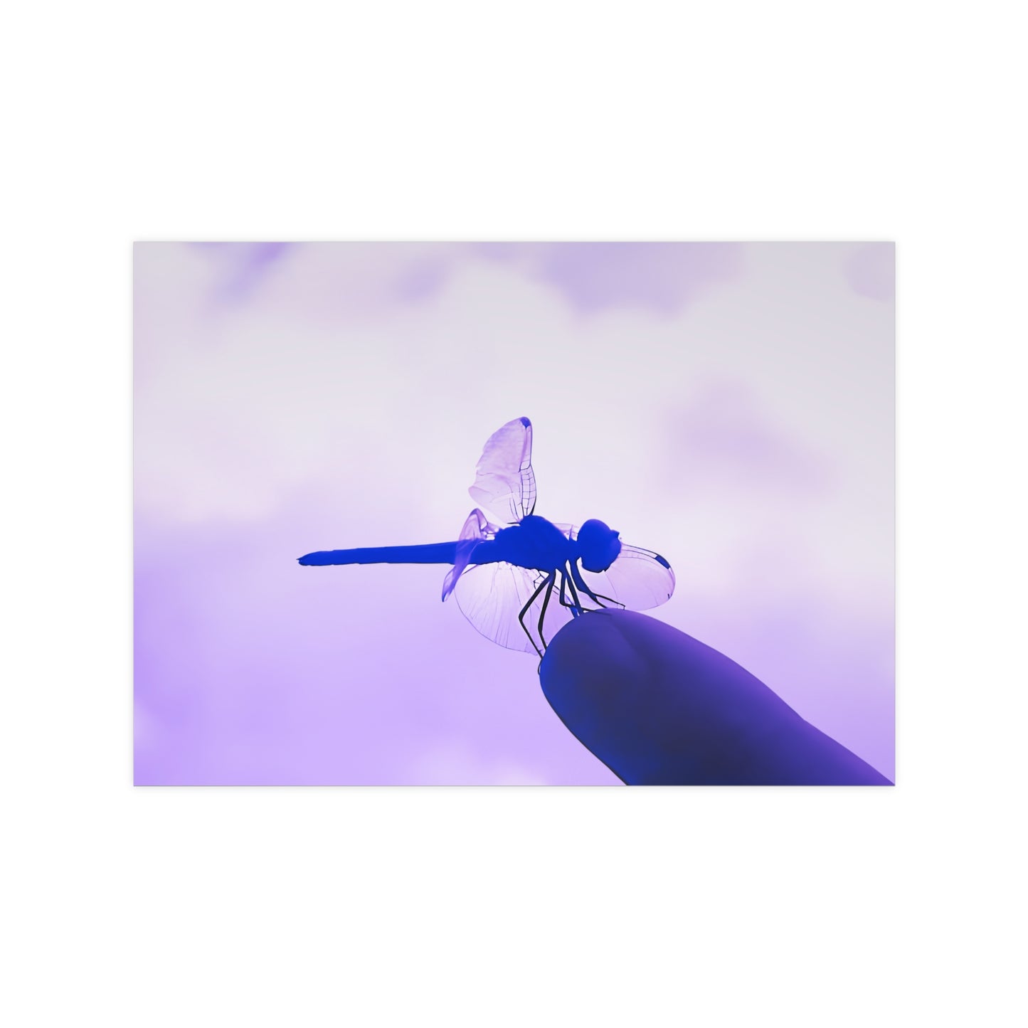 Dragonfly Violet Matte Photograph Horizontal Posters EU