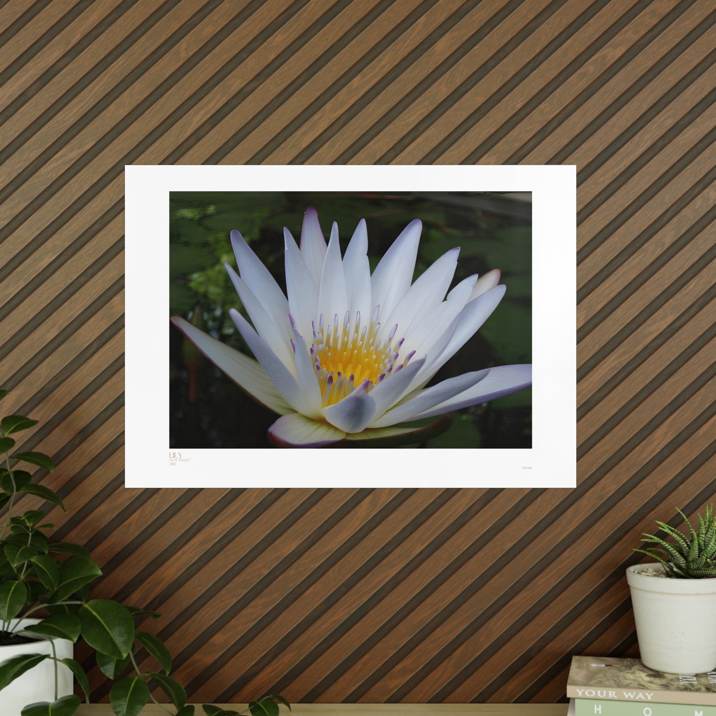 Lily Matte Photograph Horizontal Posters EU