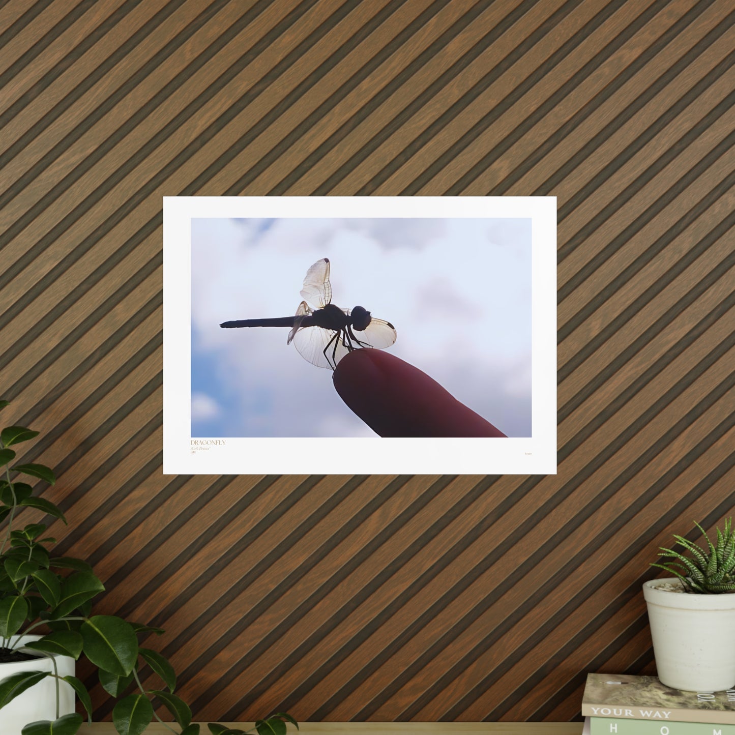 Dragonfly Matte Photograph Horizontal Posters EU