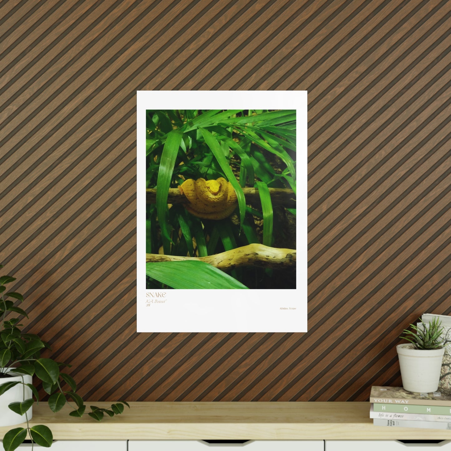 Snake Photograph Vertical Posters EU