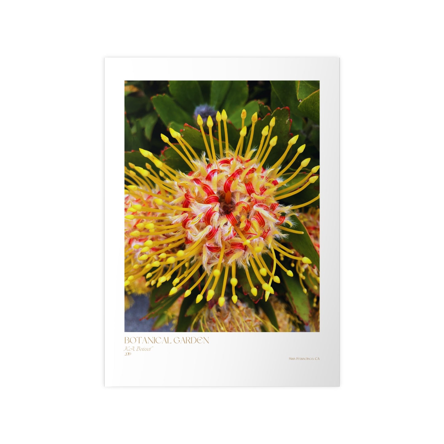 Botanical Garden Photograph Vertical Posters EU