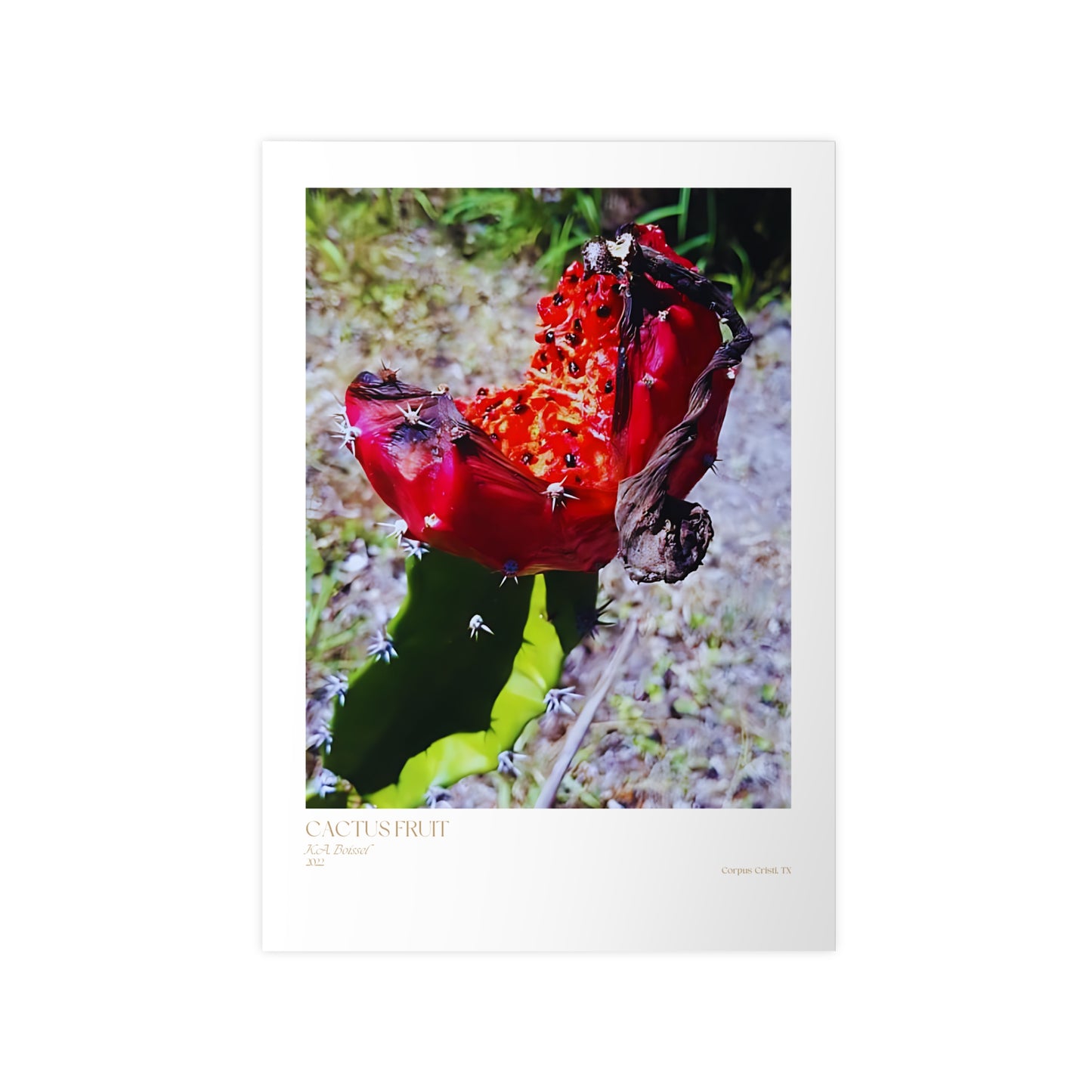 Cactus Fruit Photograph Vertical Posters EU