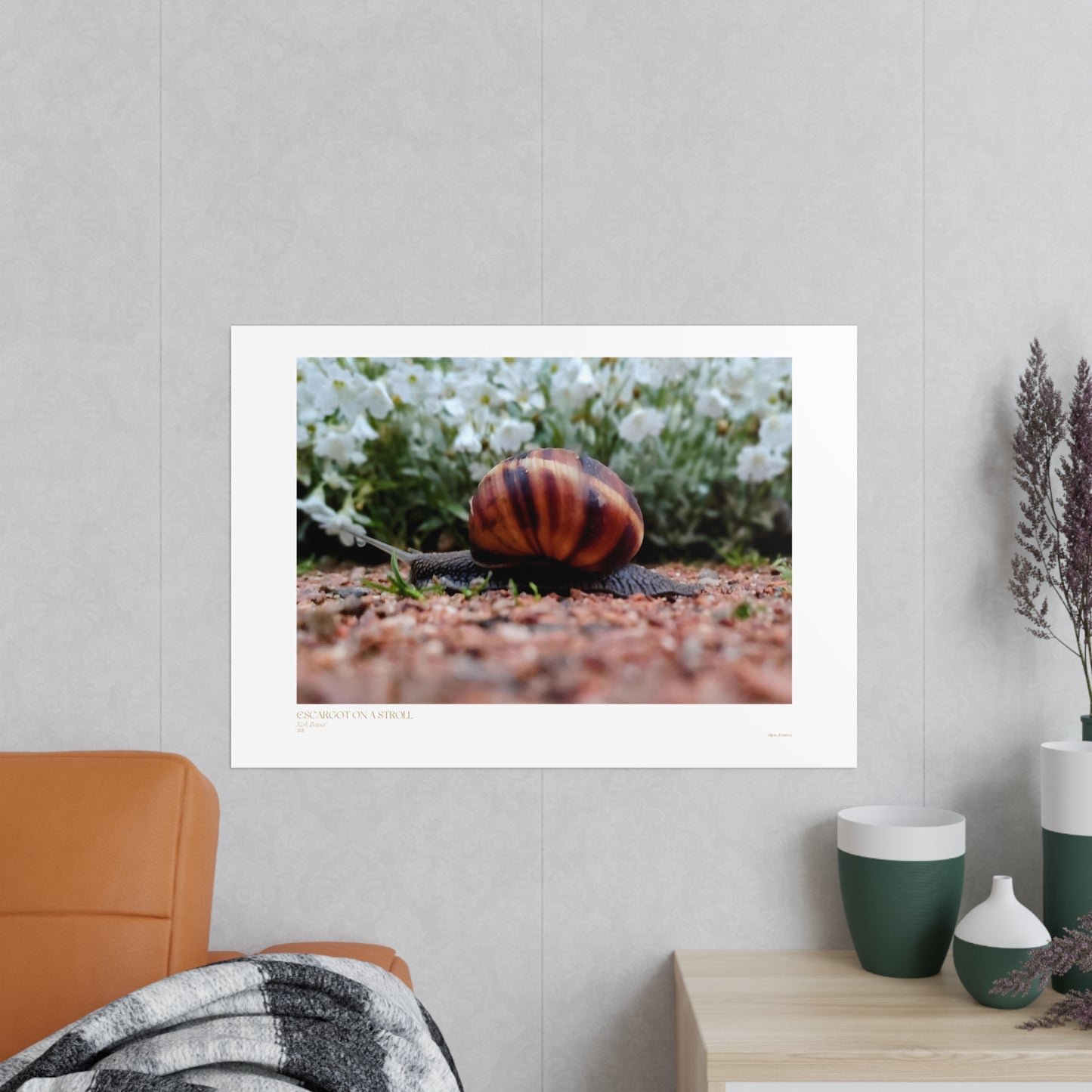 Escargot on a Stroll Matte Photograph Horizontal Posters EU