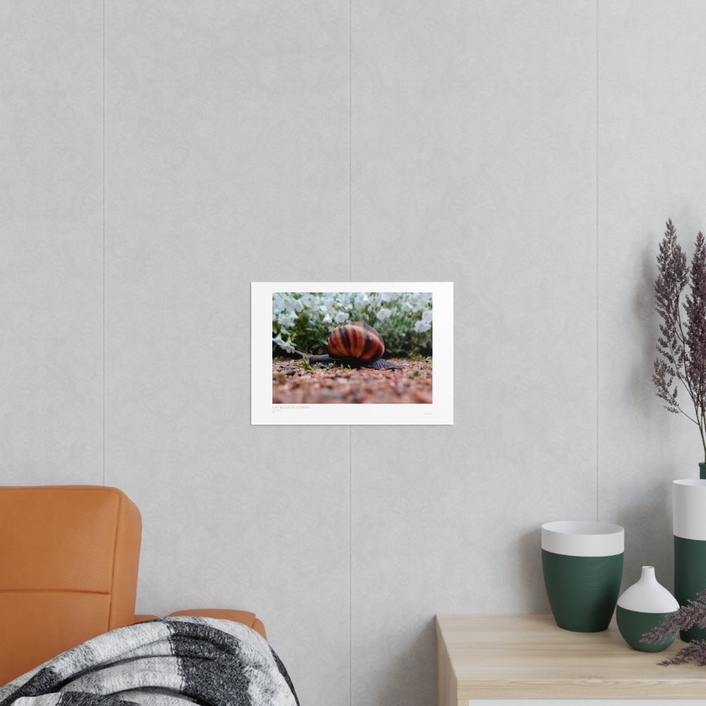 Escargot on a Stroll Matte Photograph Horizontal Posters EU