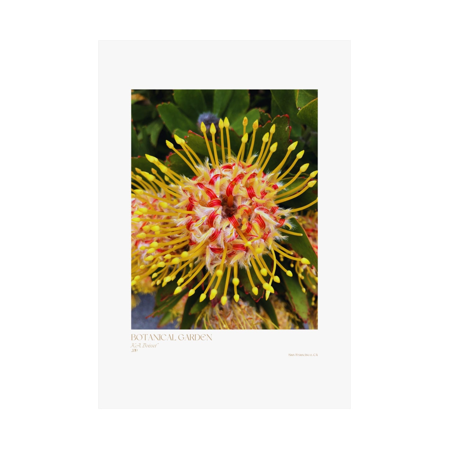 Botanical Garden Photograph Vertical Posters