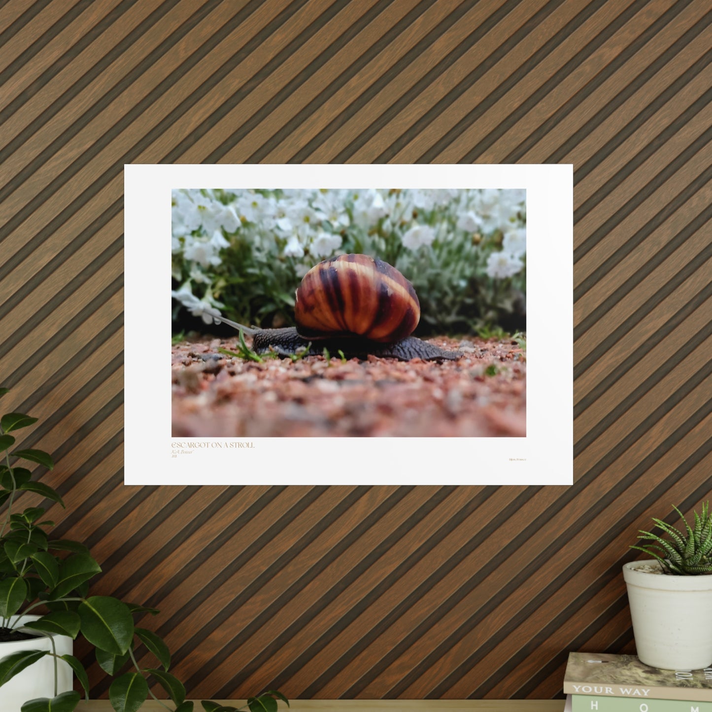 Escargot on a Stroll Matte Photograph Horizontal Posters EU