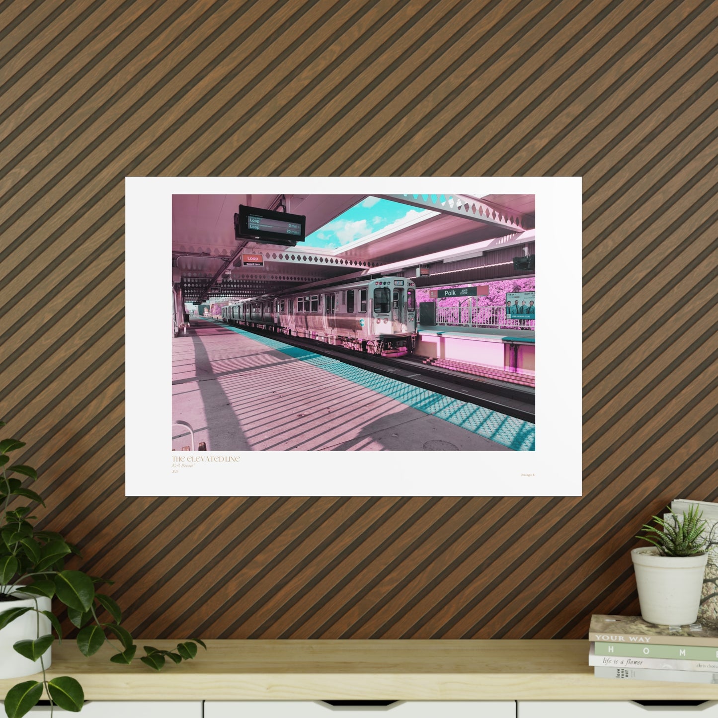 The Elevated Line Matte Photograph Horizontal Posters EU