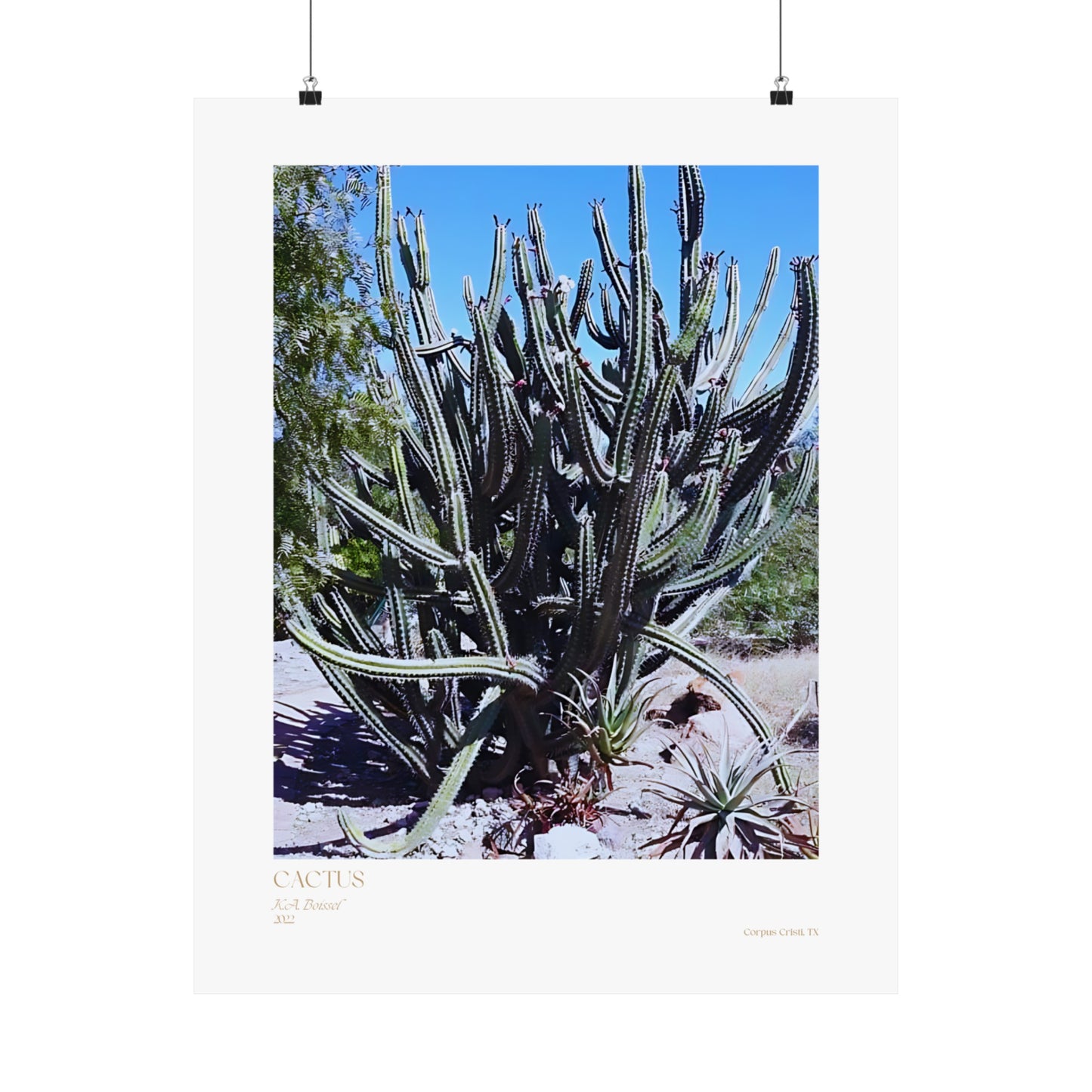 Pósteres verticales con fotografías de cactus