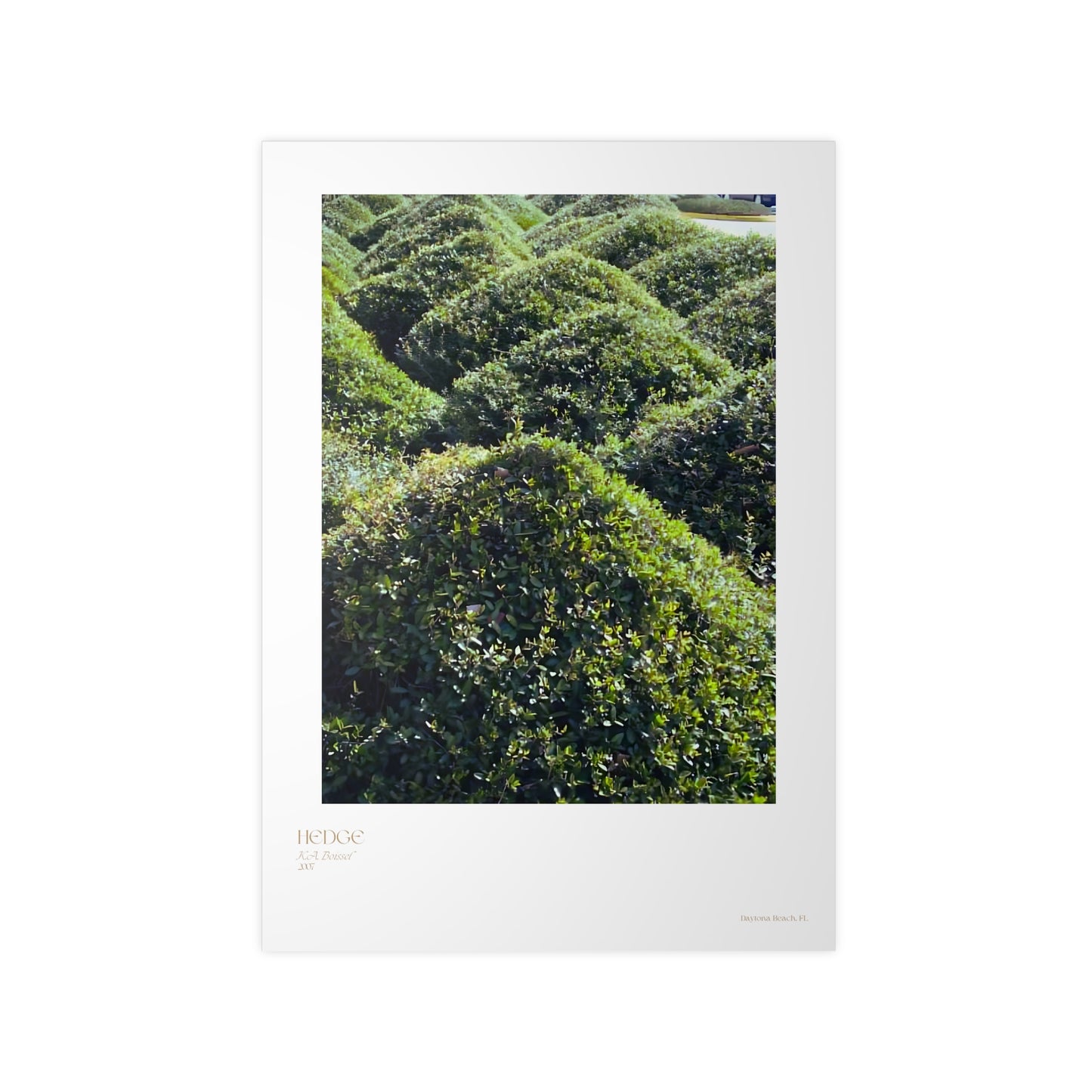 Hedge Photograph Vertical Posters EU