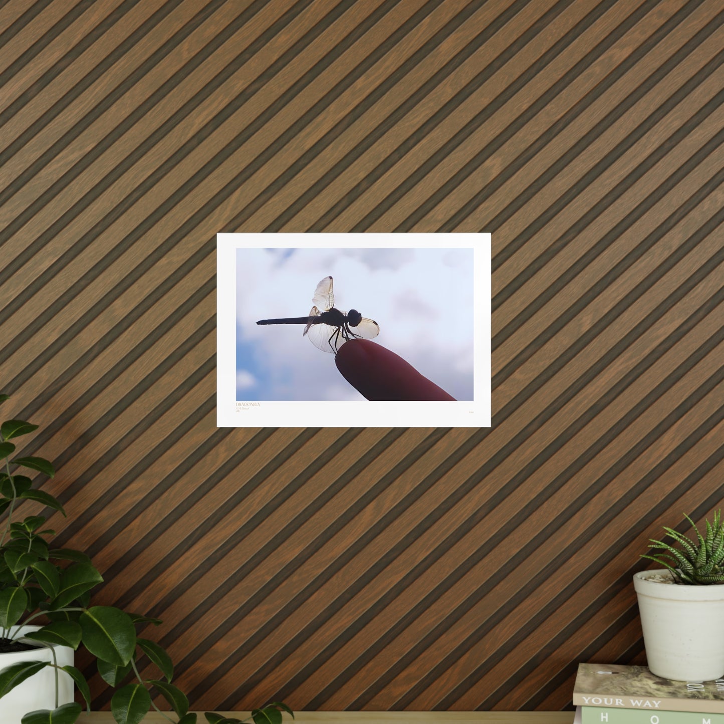 Dragonfly Matte Photograph Horizontal Posters EU