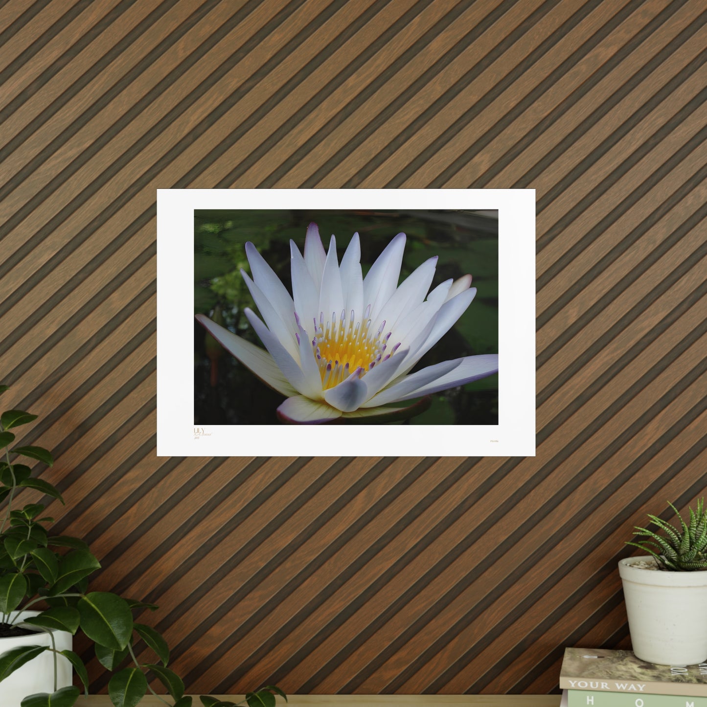 Lily Matte Photograph Horizontal Posters EU