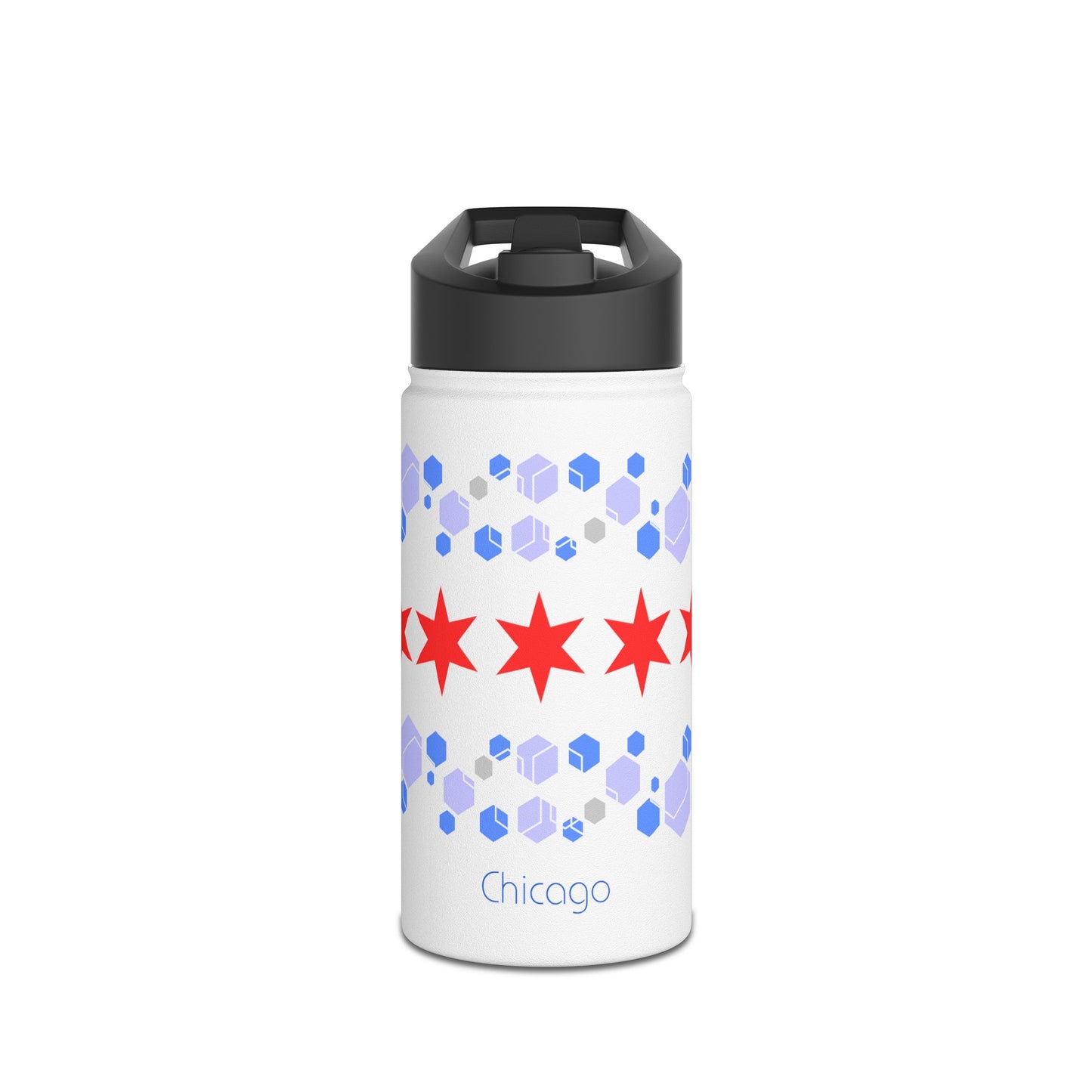 Modern Chicago Stainless Steel Water Bottle, Standard Lid