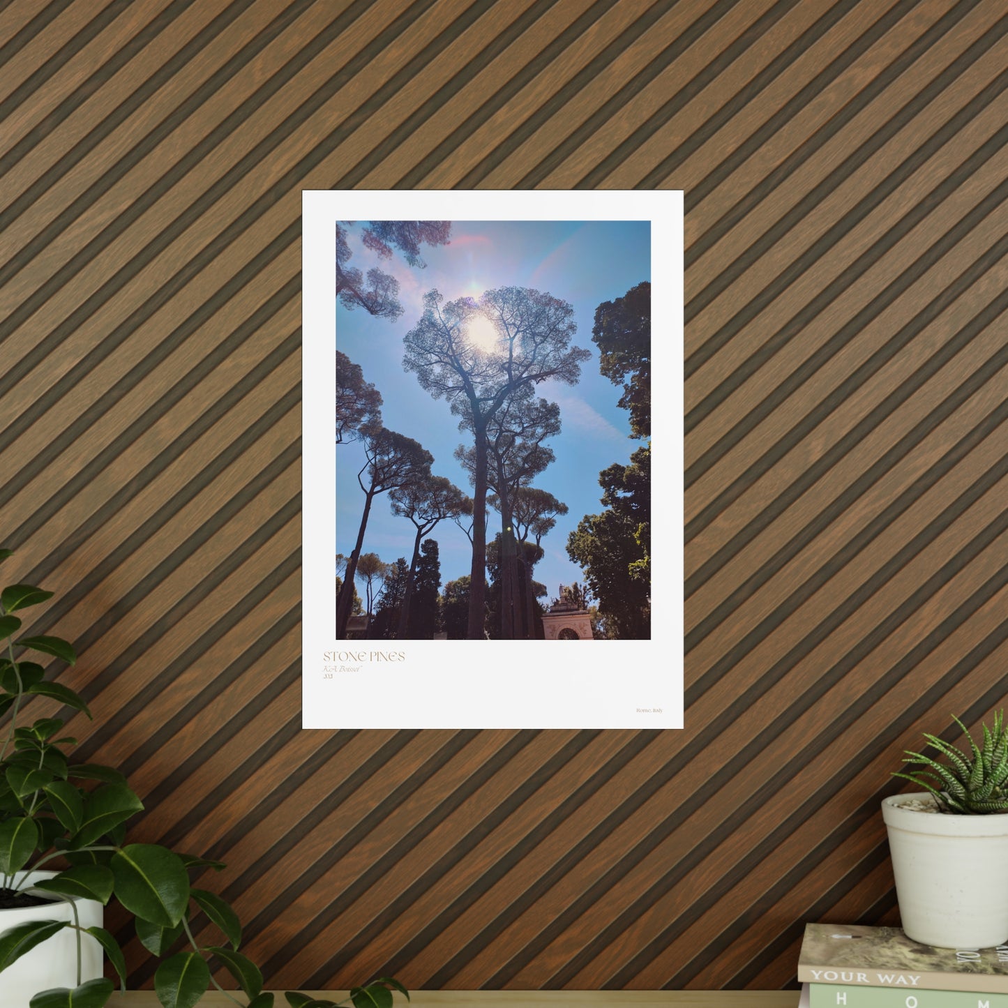 Stone Pines Rome, Italy Photograph Vertical Posters EU