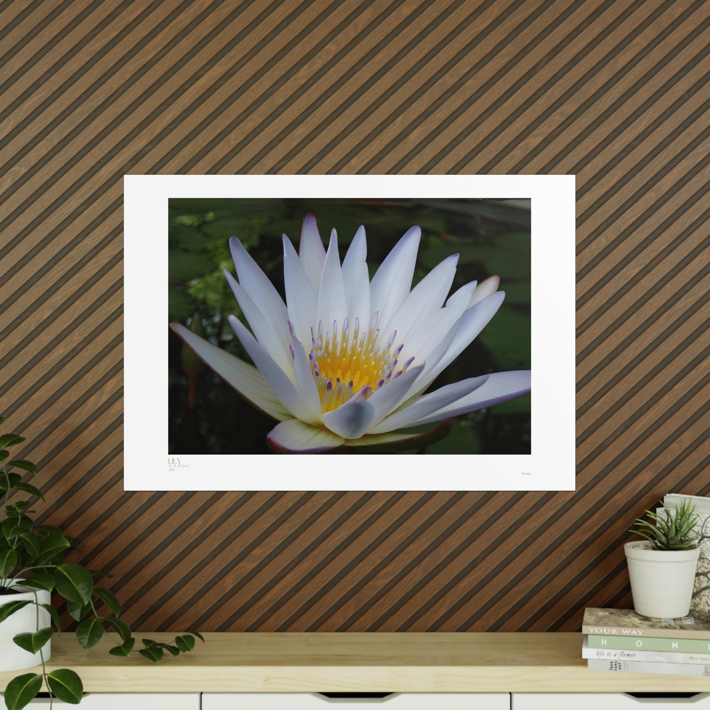 Lily Matte Photograph Horizontal Posters EU