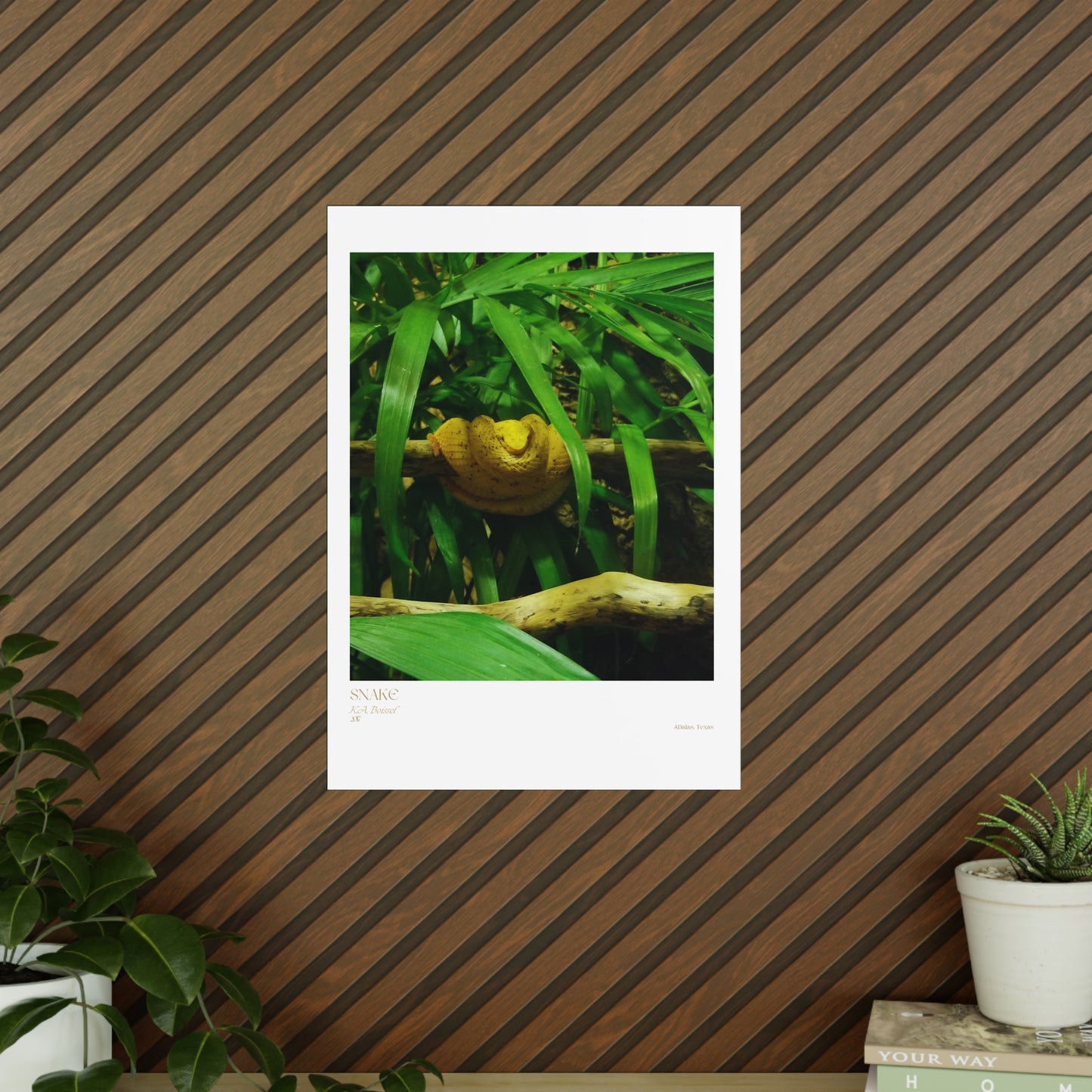 Snake Photograph Vertical Posters EU