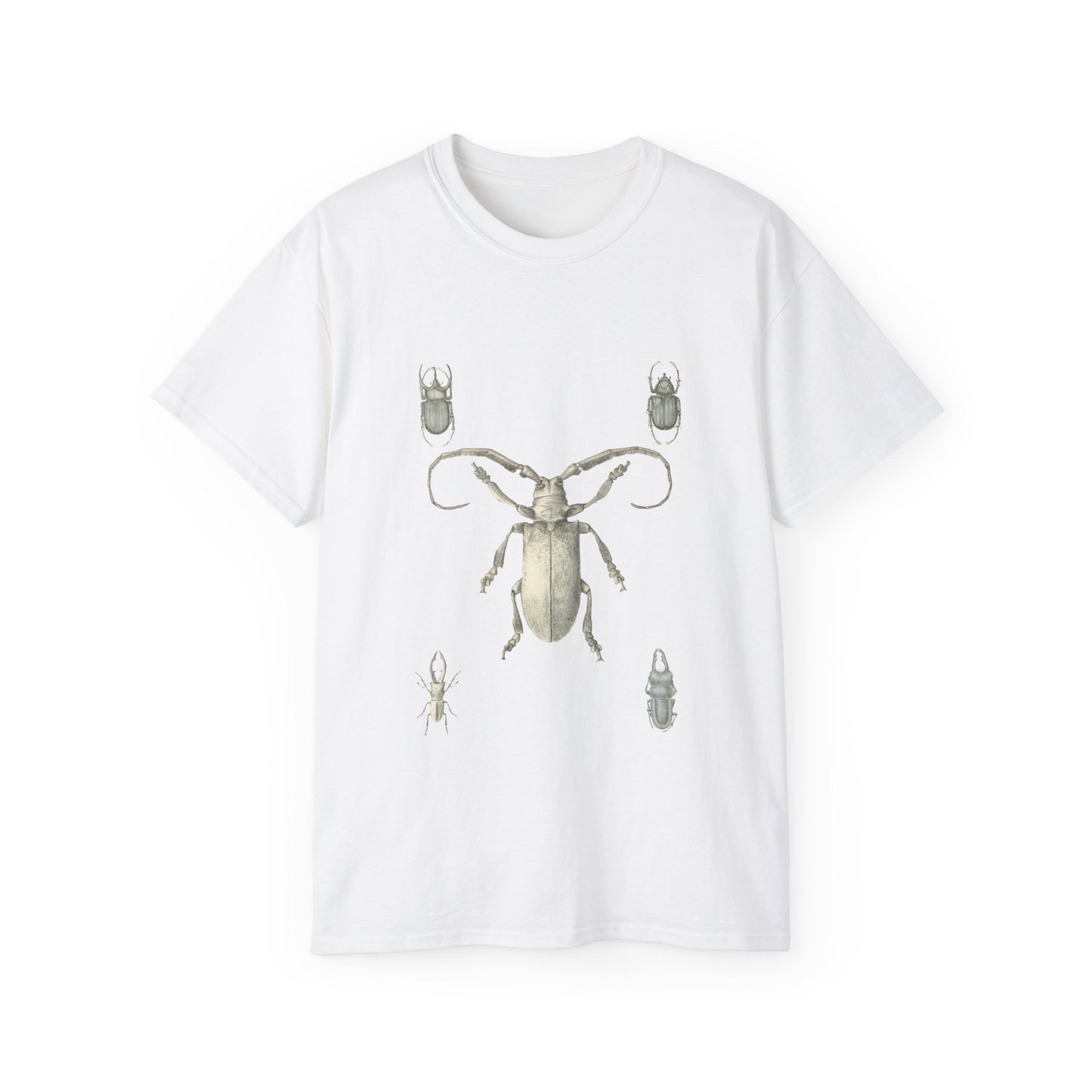 Beetle Illustration Ultra Cotton Tee EU