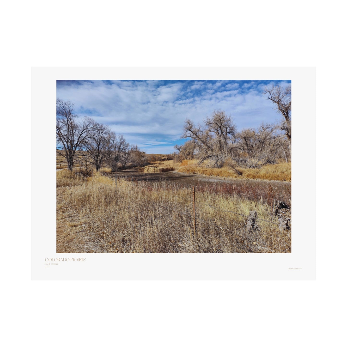 Pósteres horizontales con fotografías mate de praderas de Colorado