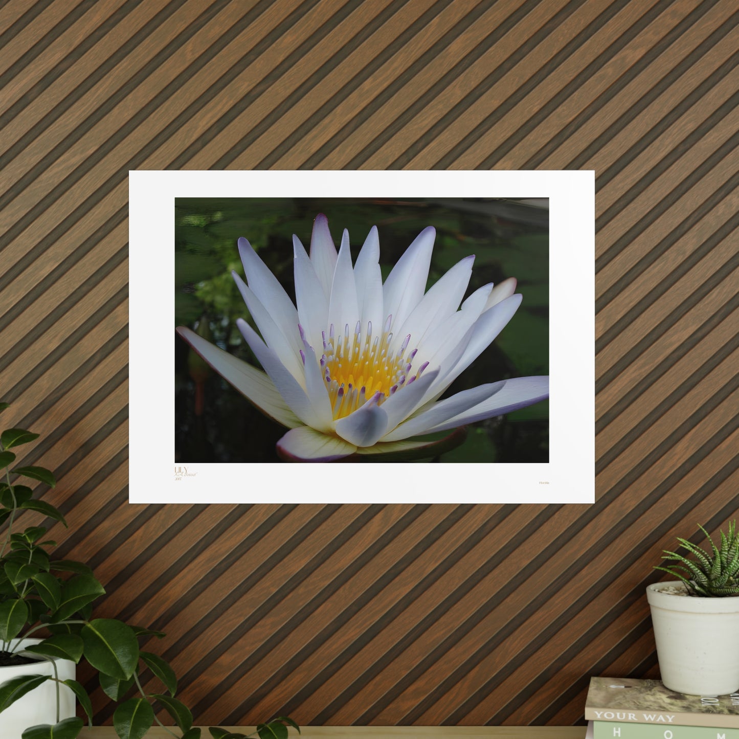 Lily Matte Photograph Horizontal Posters EU