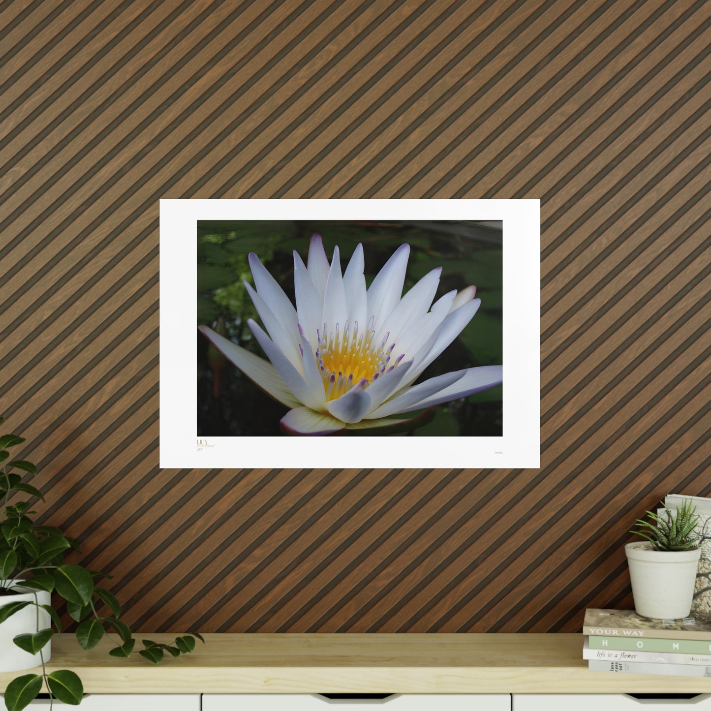 Lily Matte Photograph Horizontal Posters EU