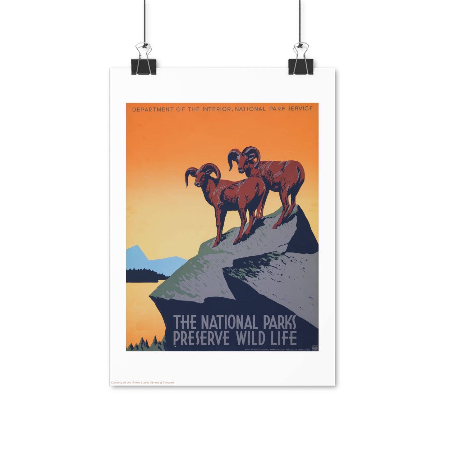 National Park Illustration Vertical Poster EU