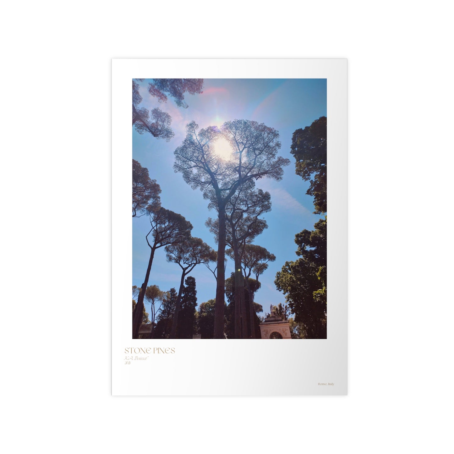 Stone Pines Rome, Italy Photograph Vertical Posters EU