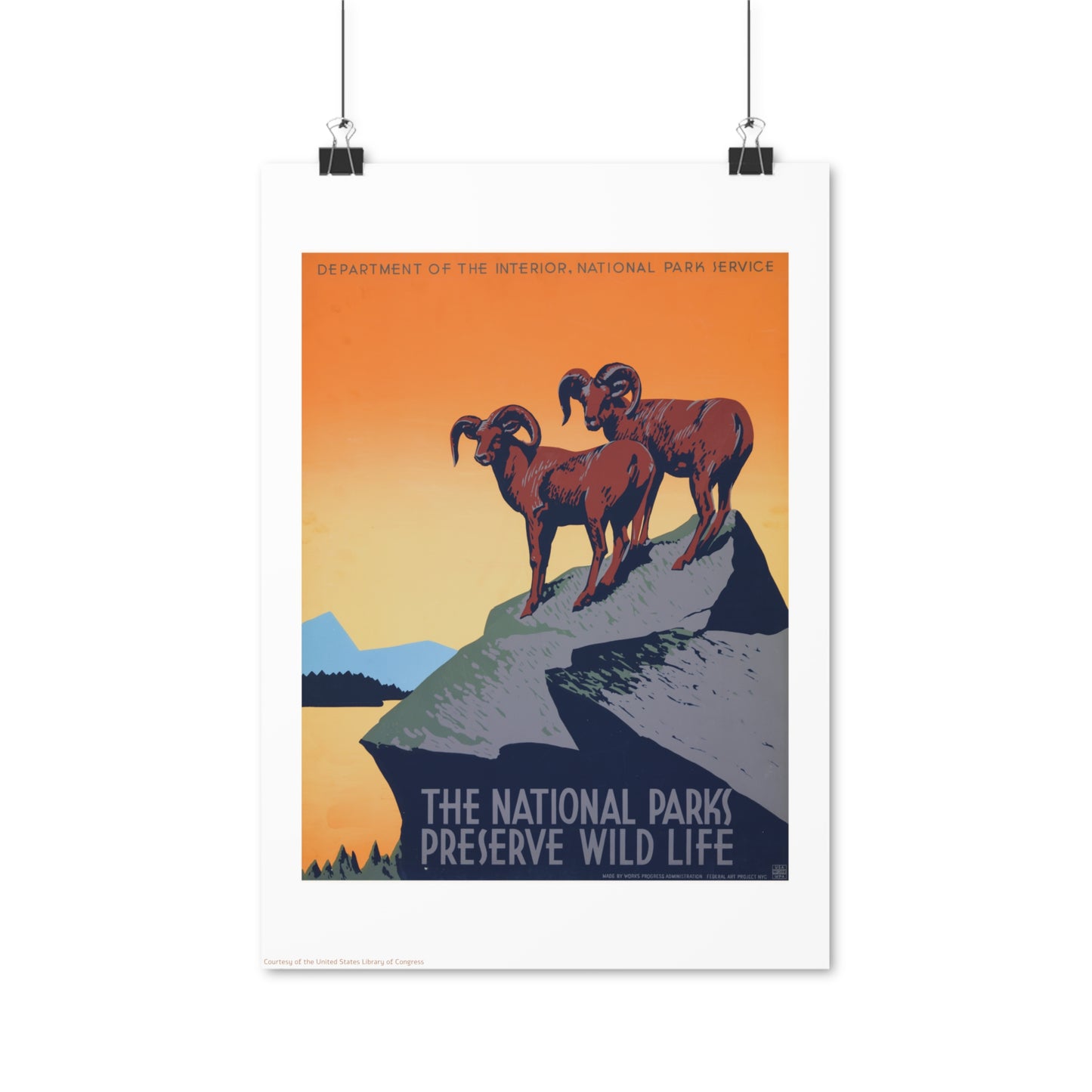 National Park Illustration Vertical Poster EU