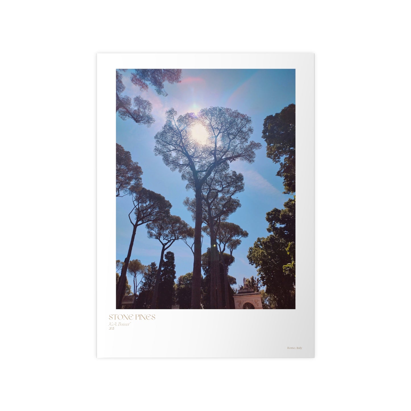 Stone Pines Rome, Italy Photograph Vertical Posters EU