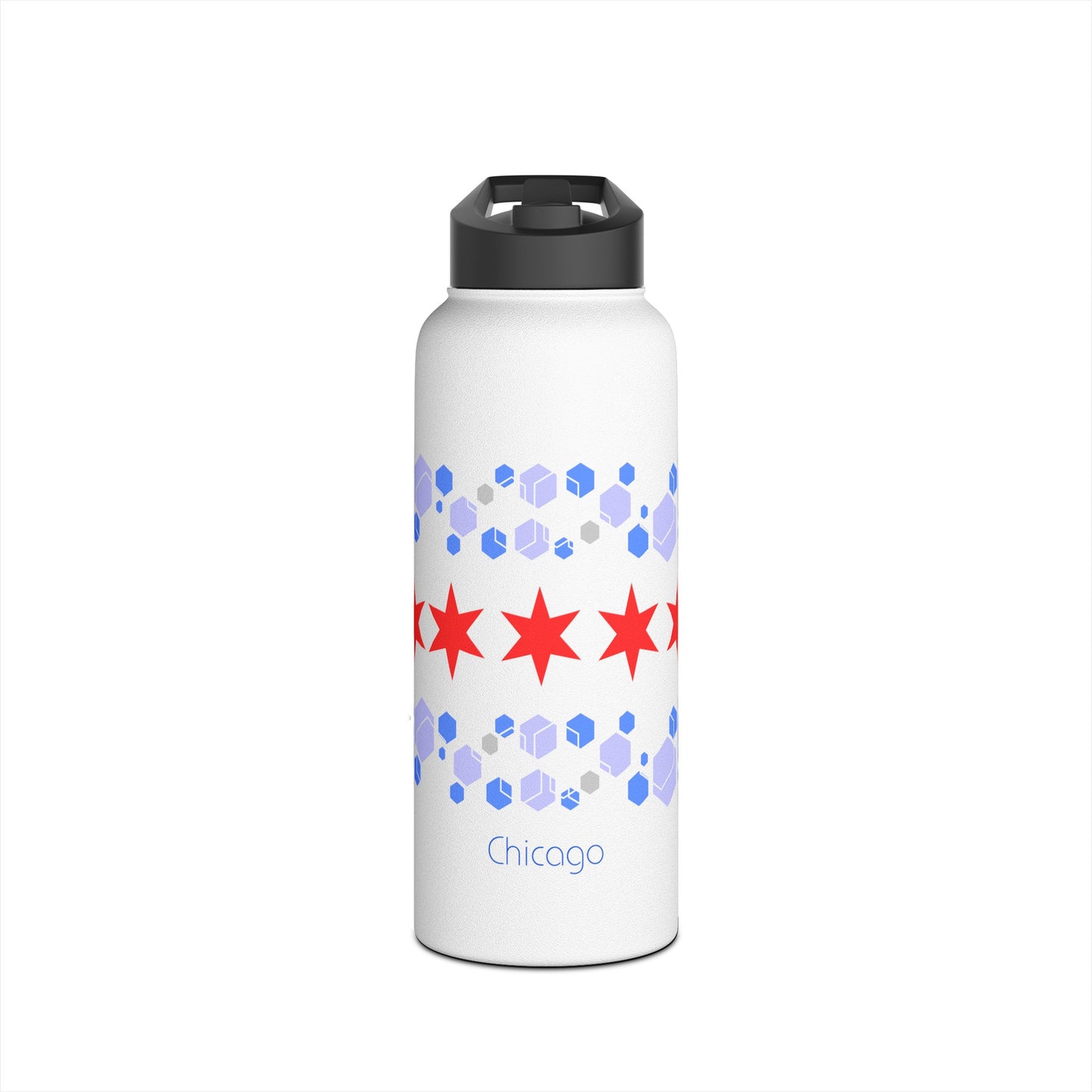 Modern Chicago Stainless Steel Water Bottle, Standard Lid