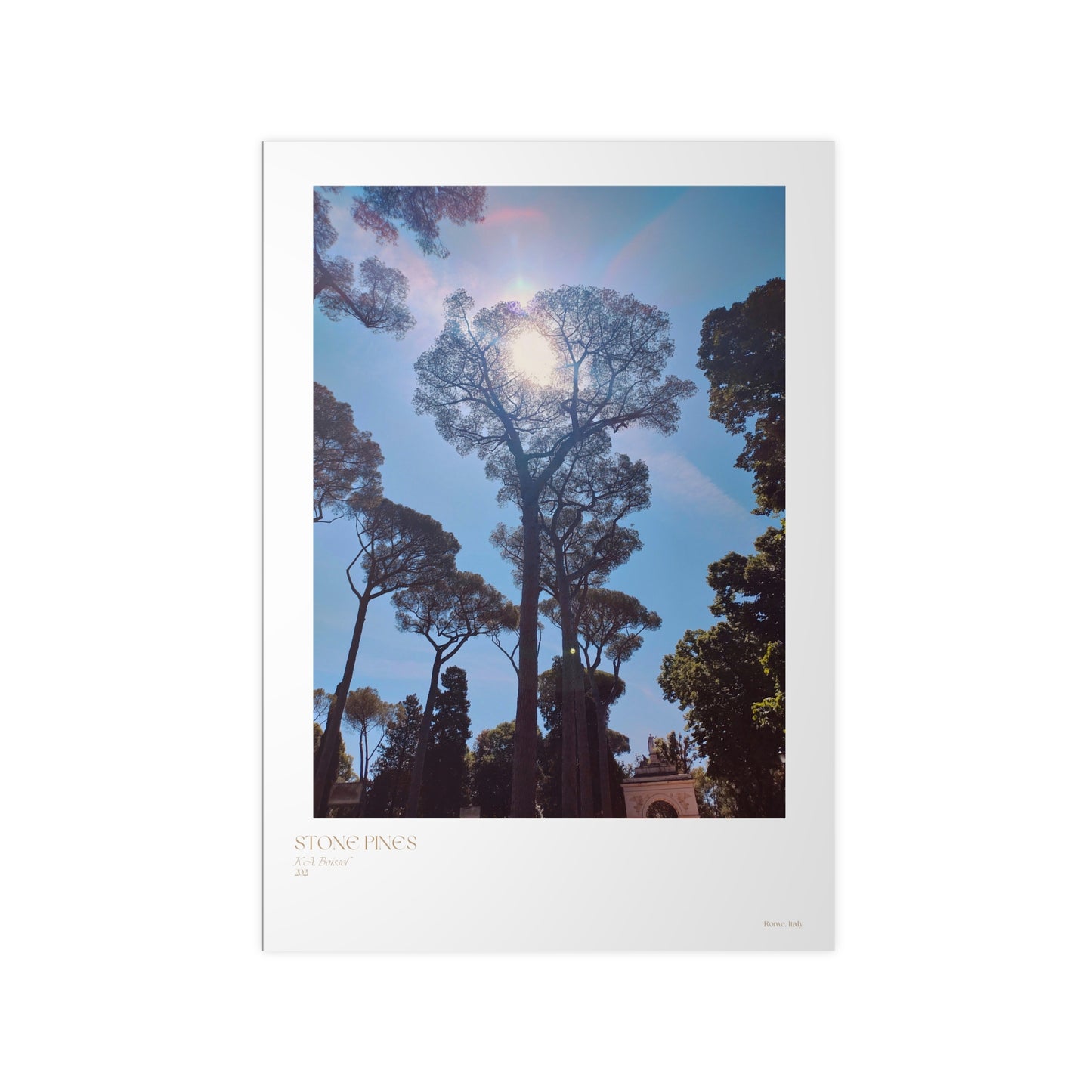 Stone Pines Rome, Italy Photograph Vertical Posters EU