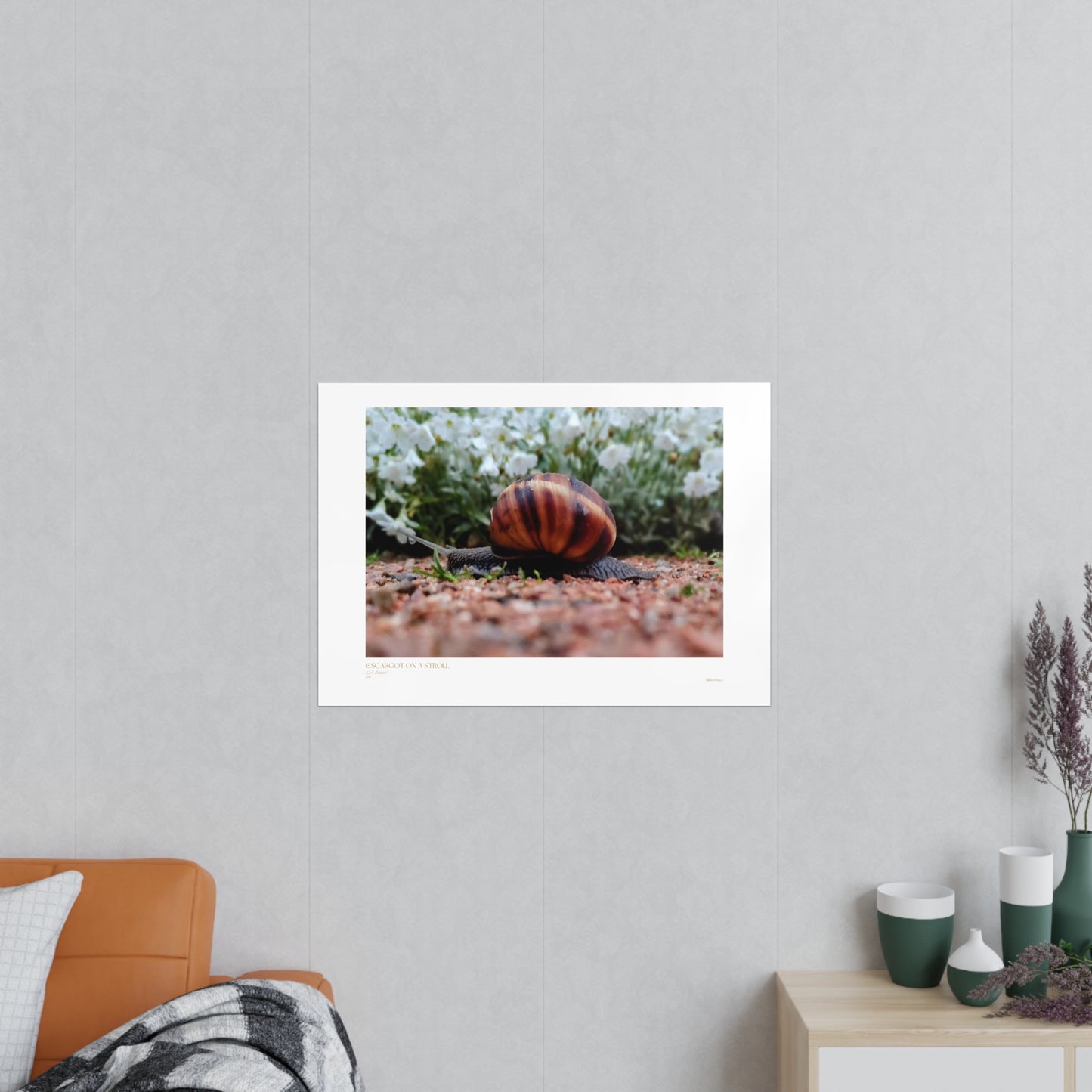 Escargot on a Stroll Matte Photograph Horizontal Posters EU