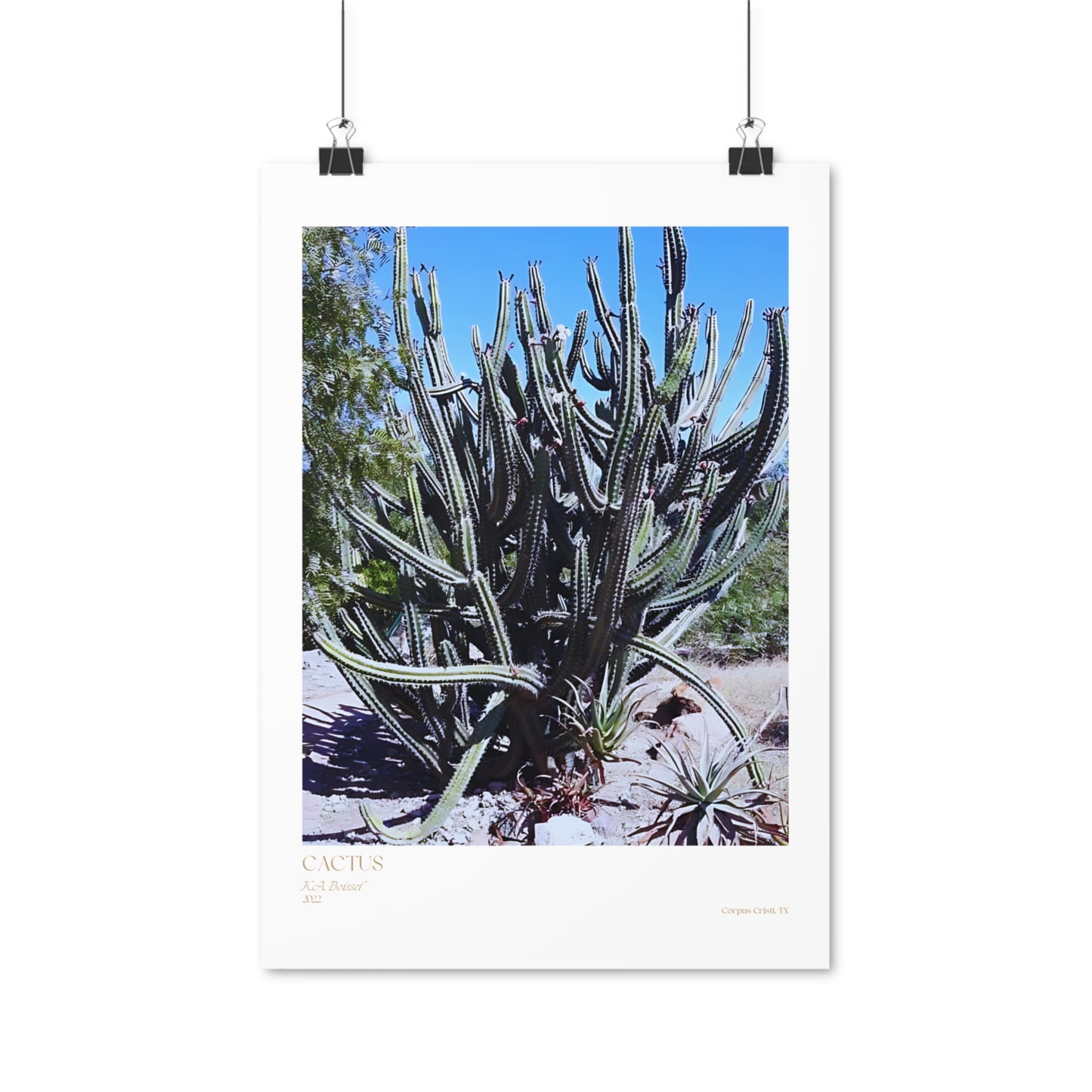 Cactus Photograph Vertical Posters EU