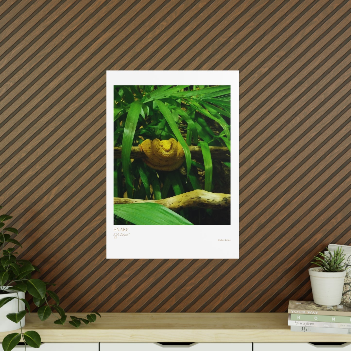 Snake Photograph Vertical Posters EU