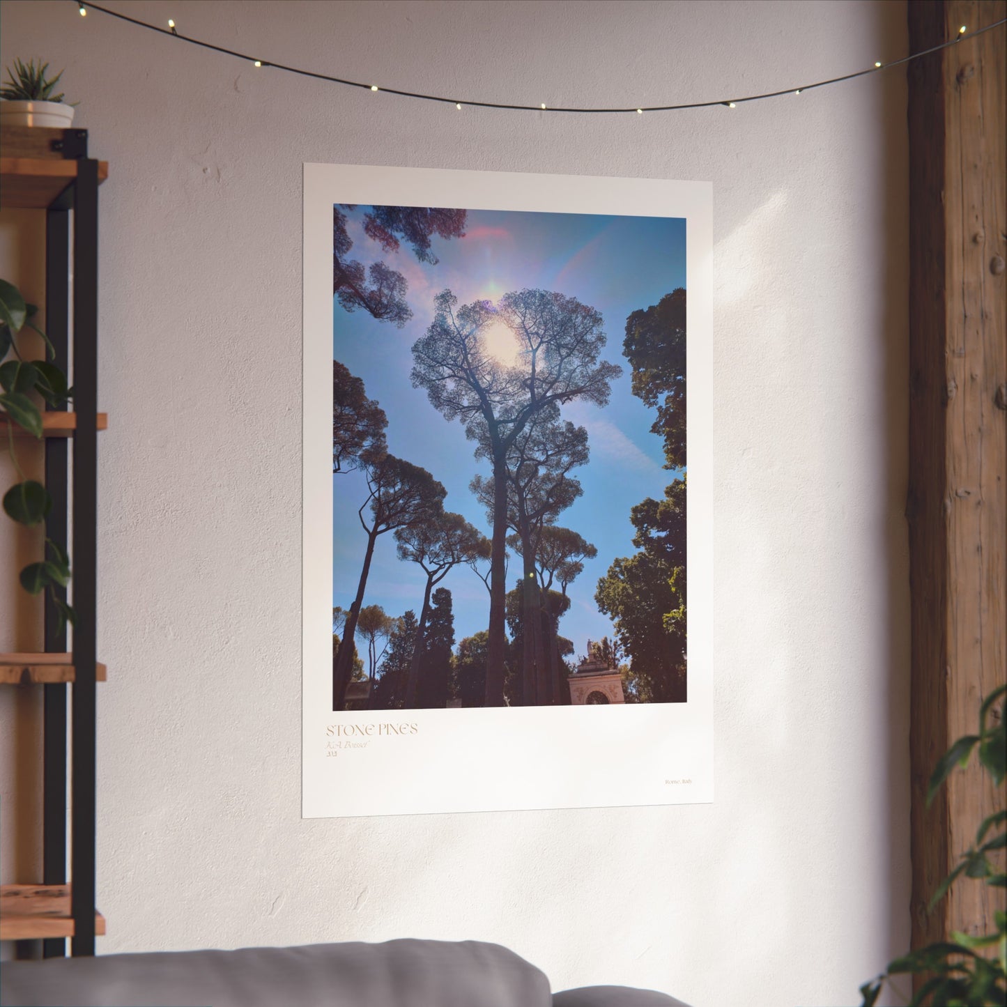 Carteles verticales con fotografías de pinos de piedra en Roma, Italia