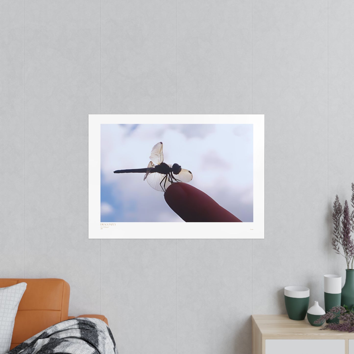 Dragonfly Matte Photograph Horizontal Posters EU