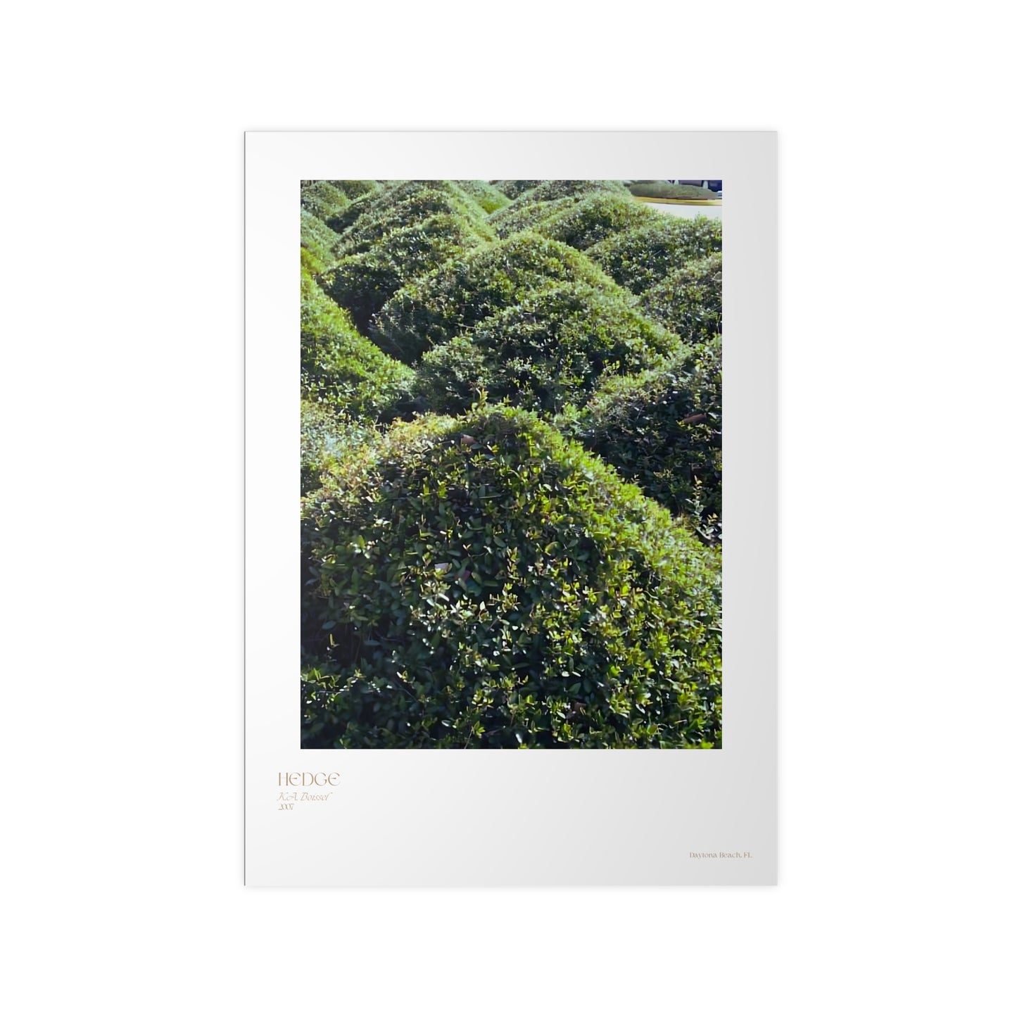 Hedge Photograph Vertical Posters EU