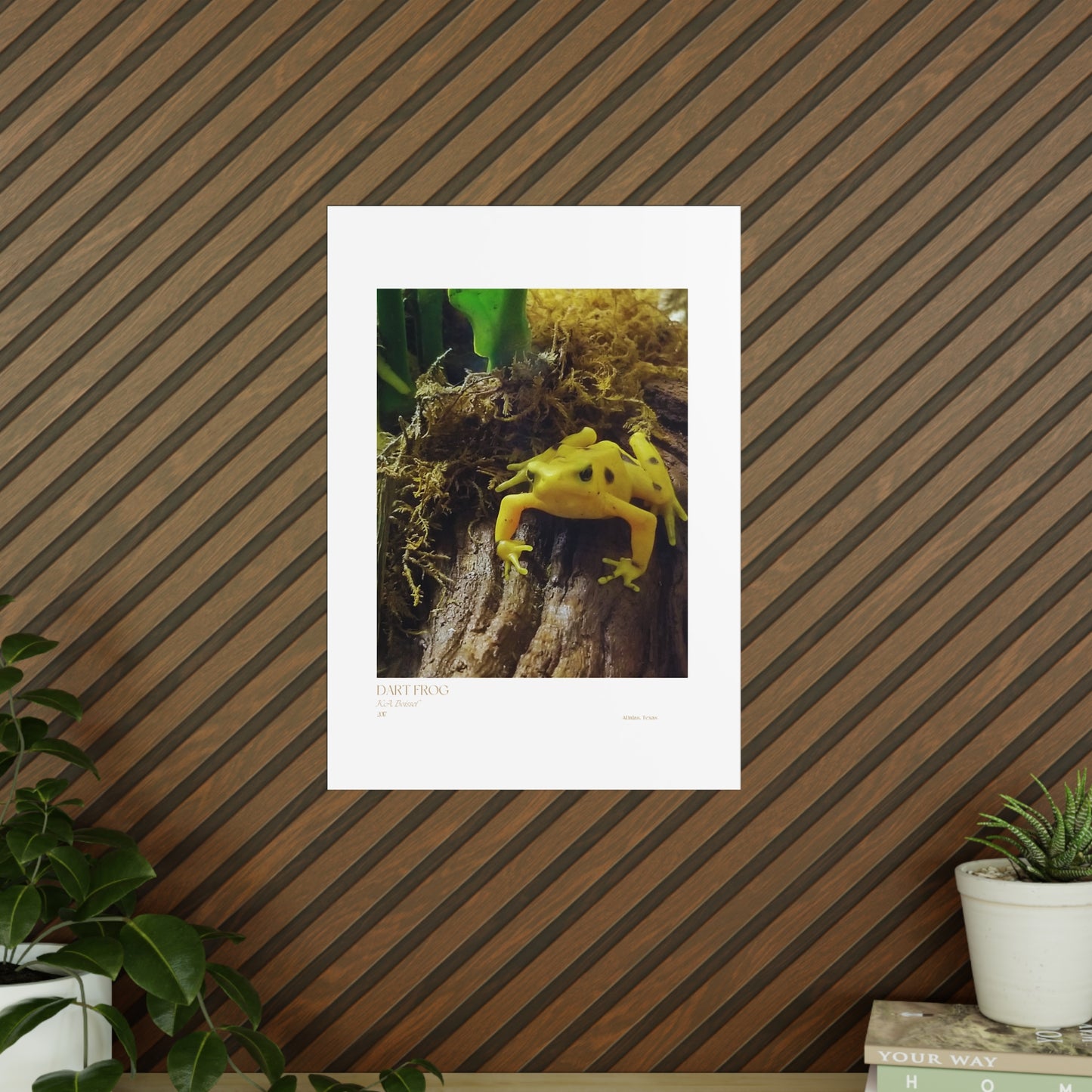 Dart Frog Photograph Vertical Posters EU