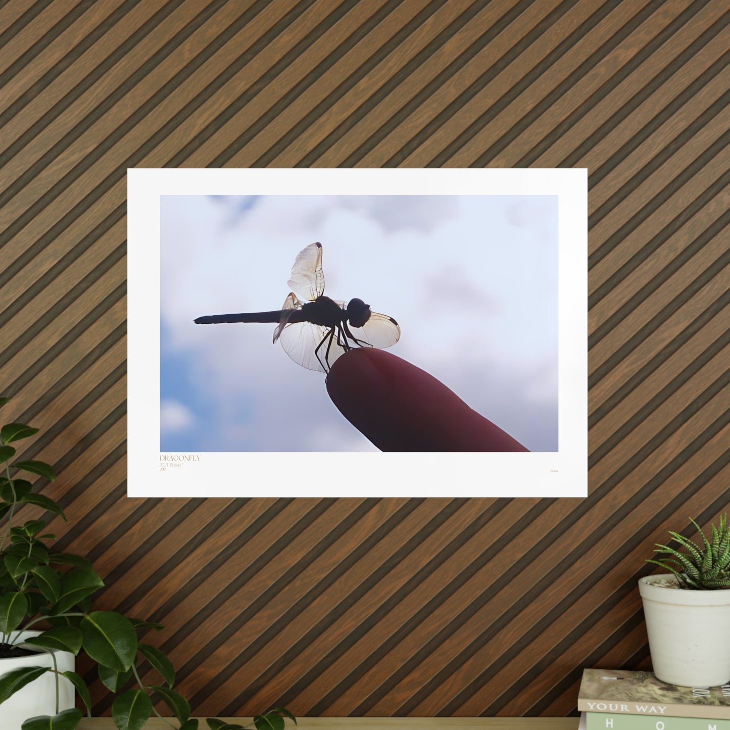 Dragonfly Matte Photograph Horizontal Posters EU