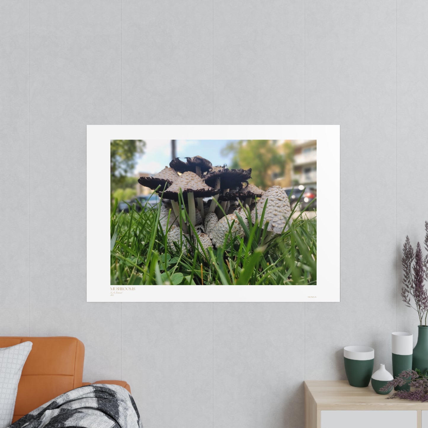 Mushrooms Matte Photograph Horizontal Posters EU