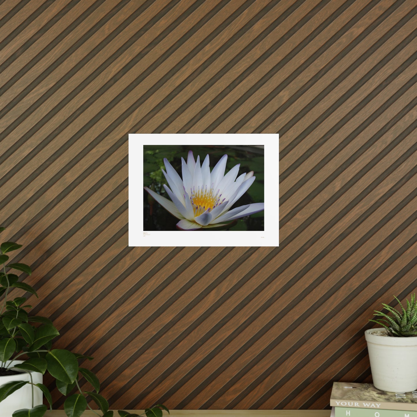 Lily Matte Photograph Horizontal Posters EU