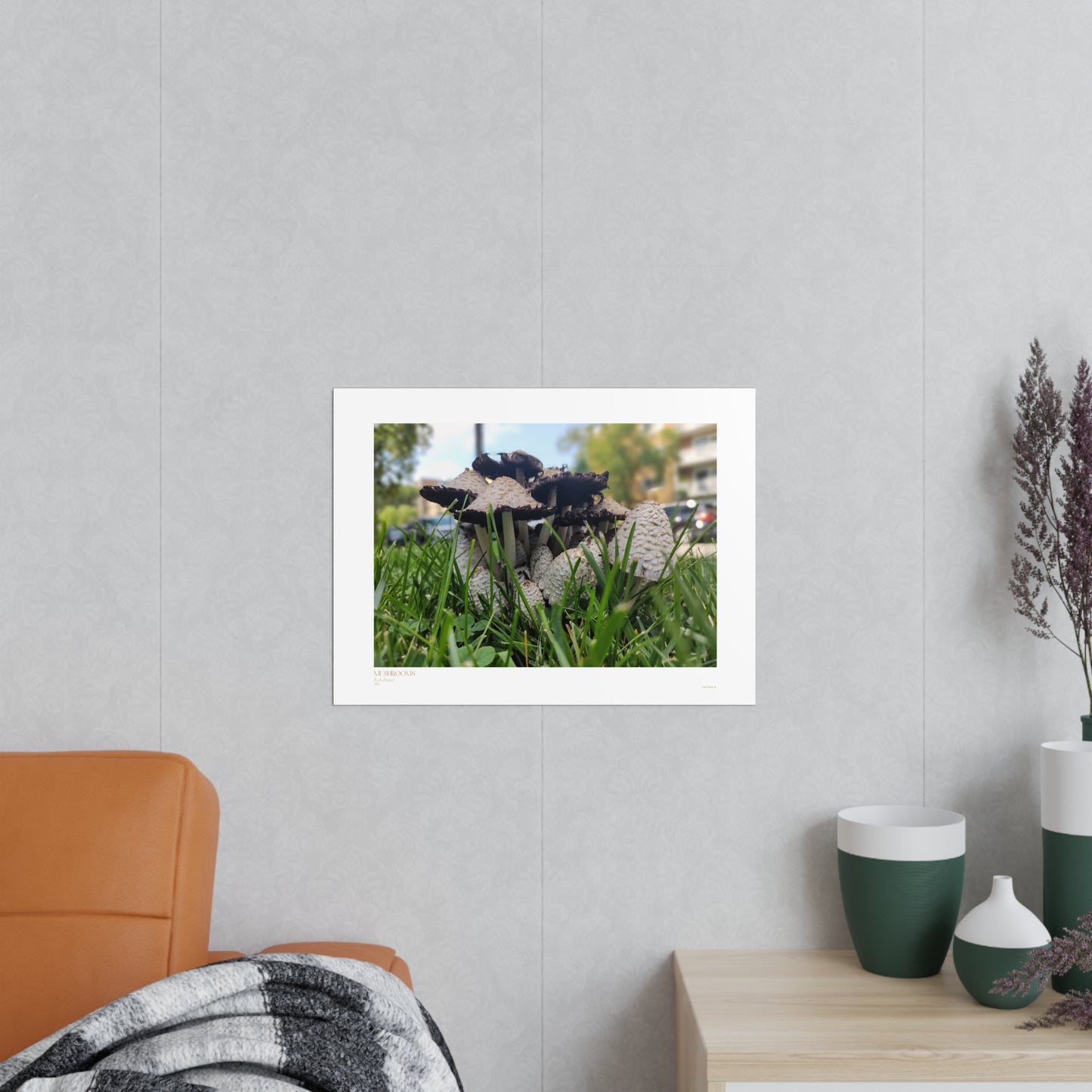 Mushrooms Matte Photograph Horizontal Posters EU