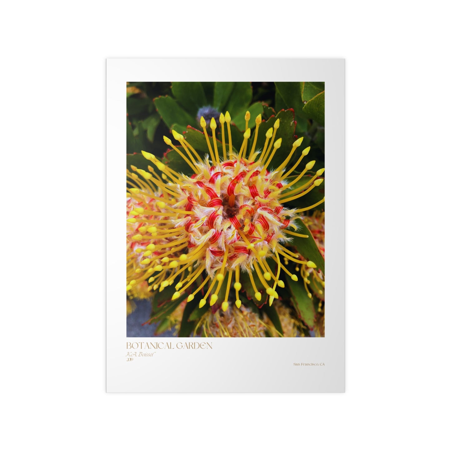 Botanical Garden Photograph Vertical Posters EU