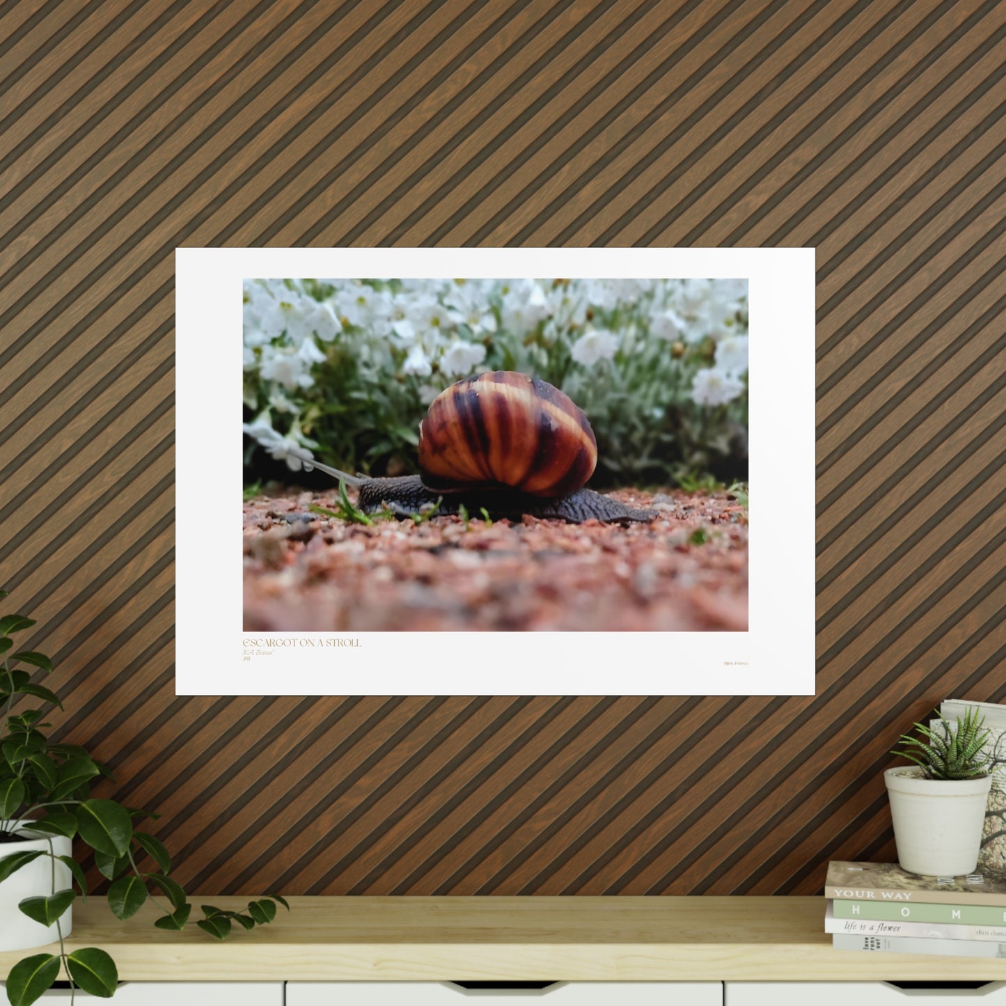 Escargot on a Stroll Matte Photograph Horizontal Posters EU