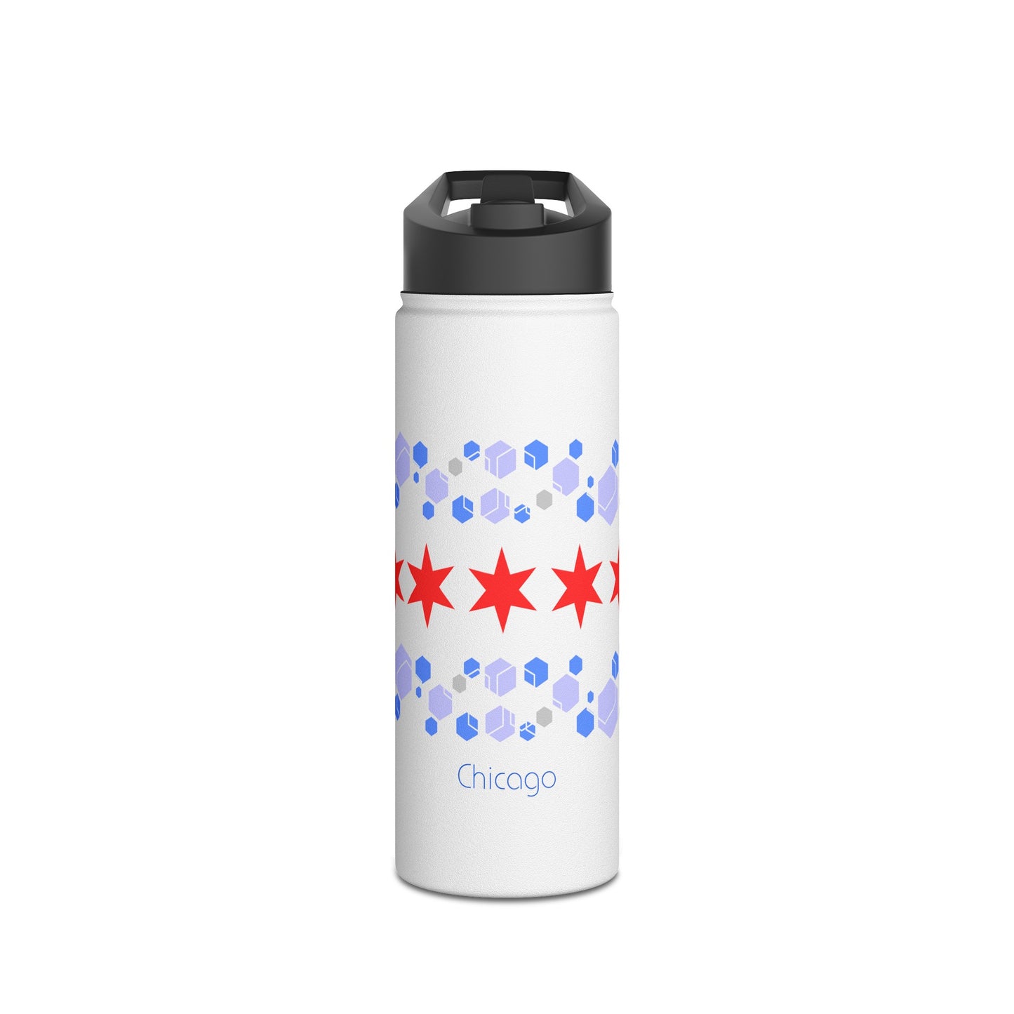 Modern Chicago Stainless Steel Water Bottle, Standard Lid