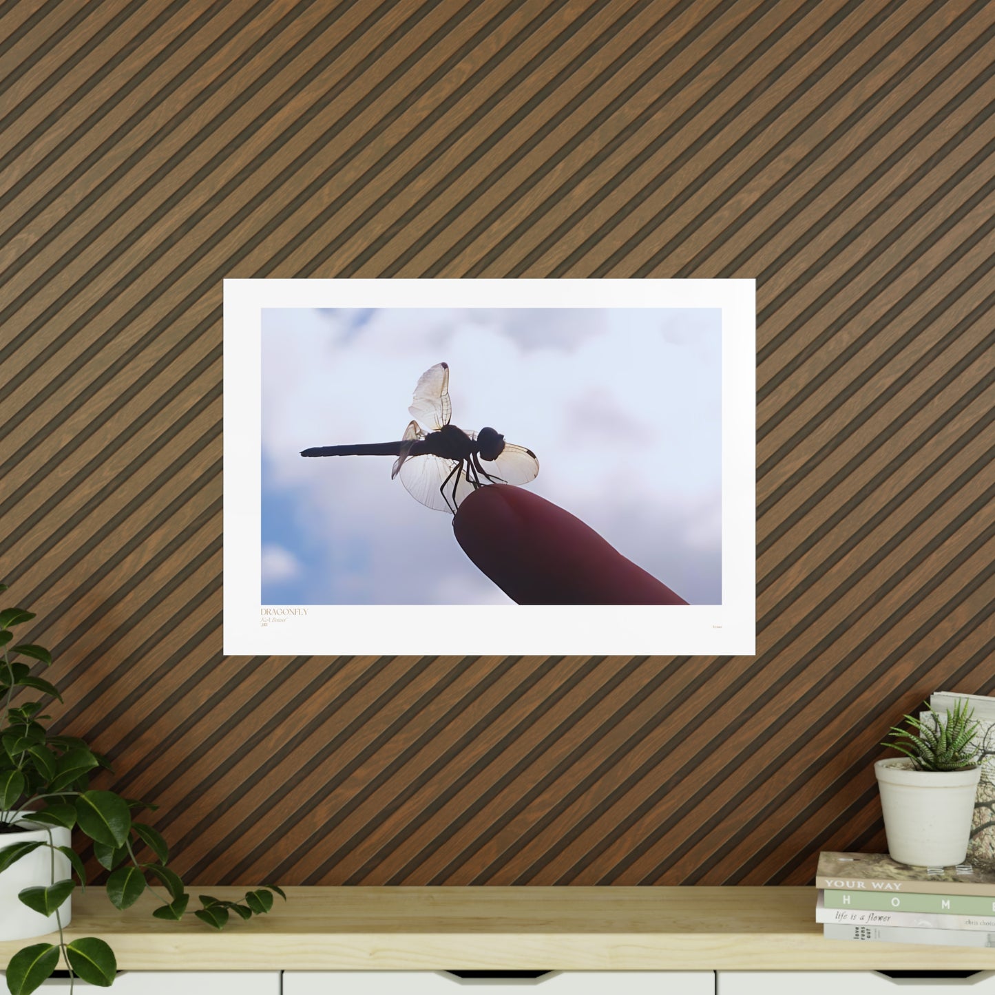 Dragonfly Matte Photograph Horizontal Posters EU