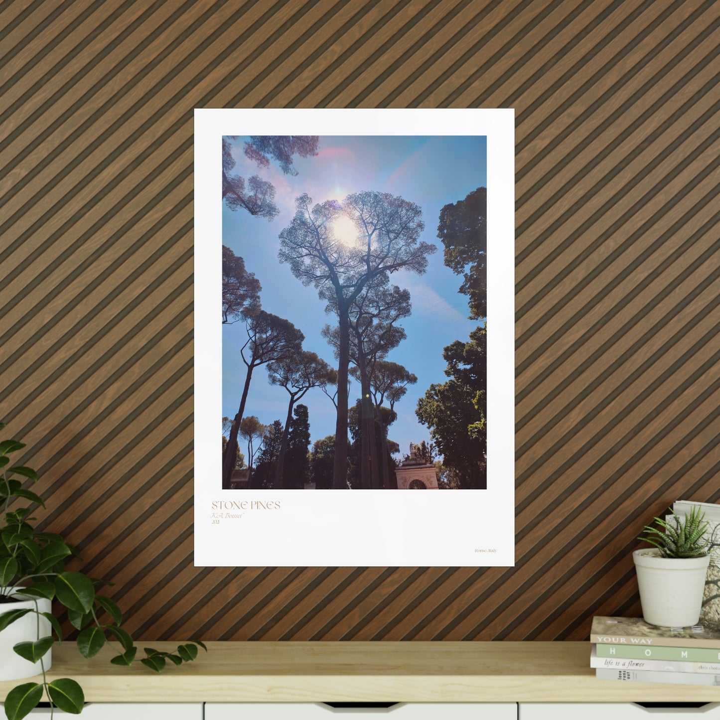 Stone Pines Rome, Italy Photograph Vertical Posters EU