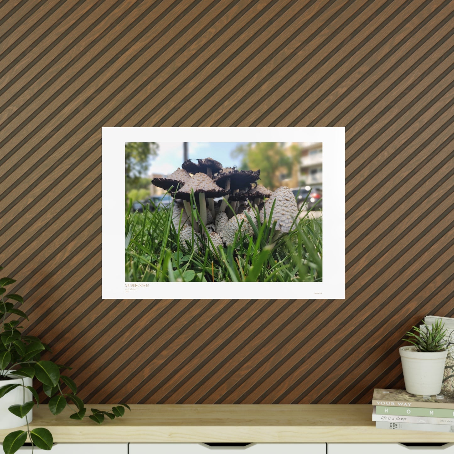 Mushrooms Matte Photograph Horizontal Posters EU