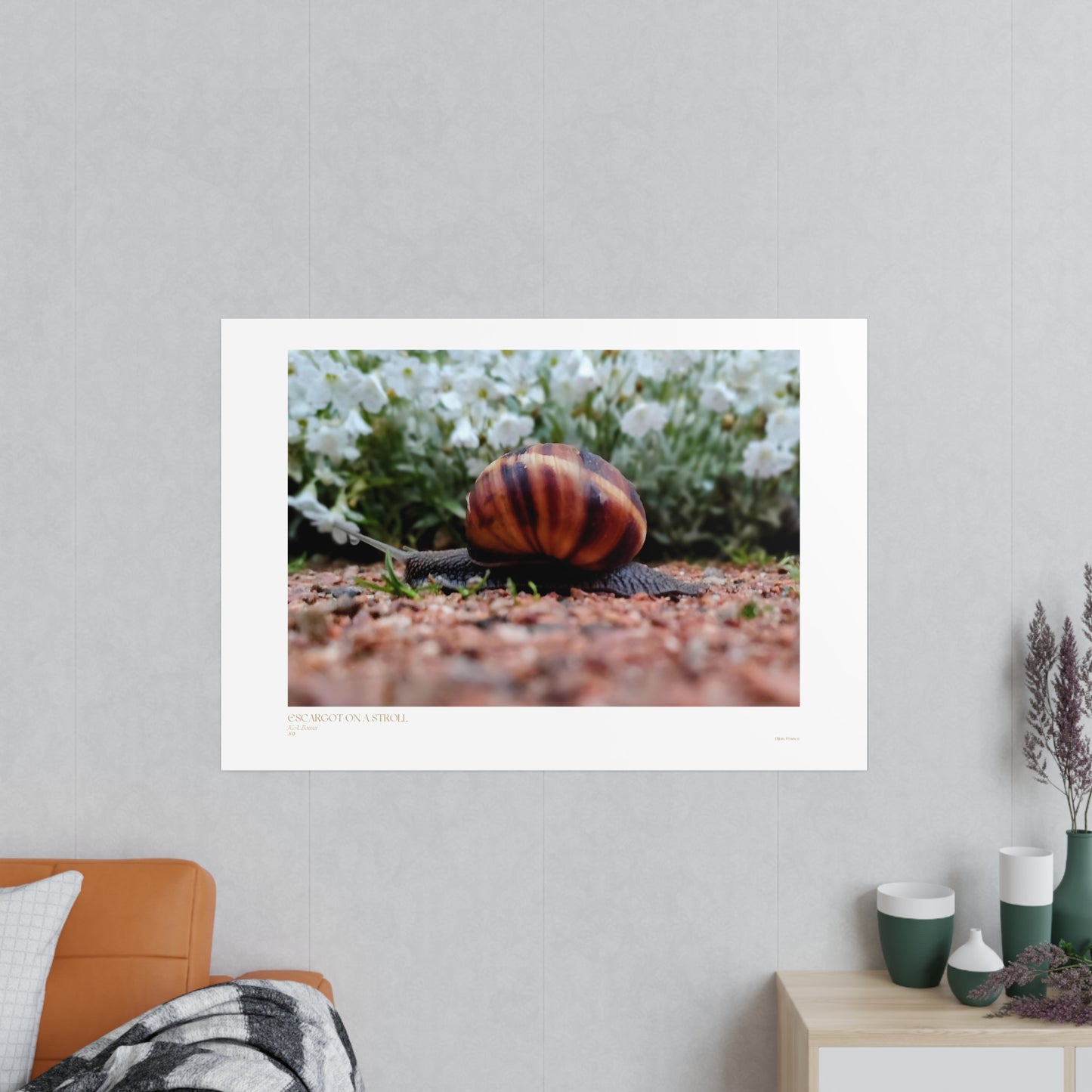 Escargot on a Stroll Matte Photograph Horizontal Posters EU