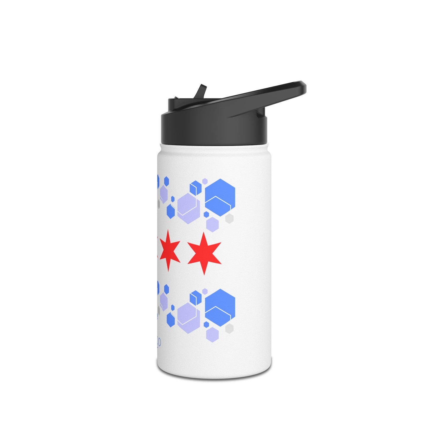 Modern Chicago Stainless Steel Water Bottle, Standard Lid