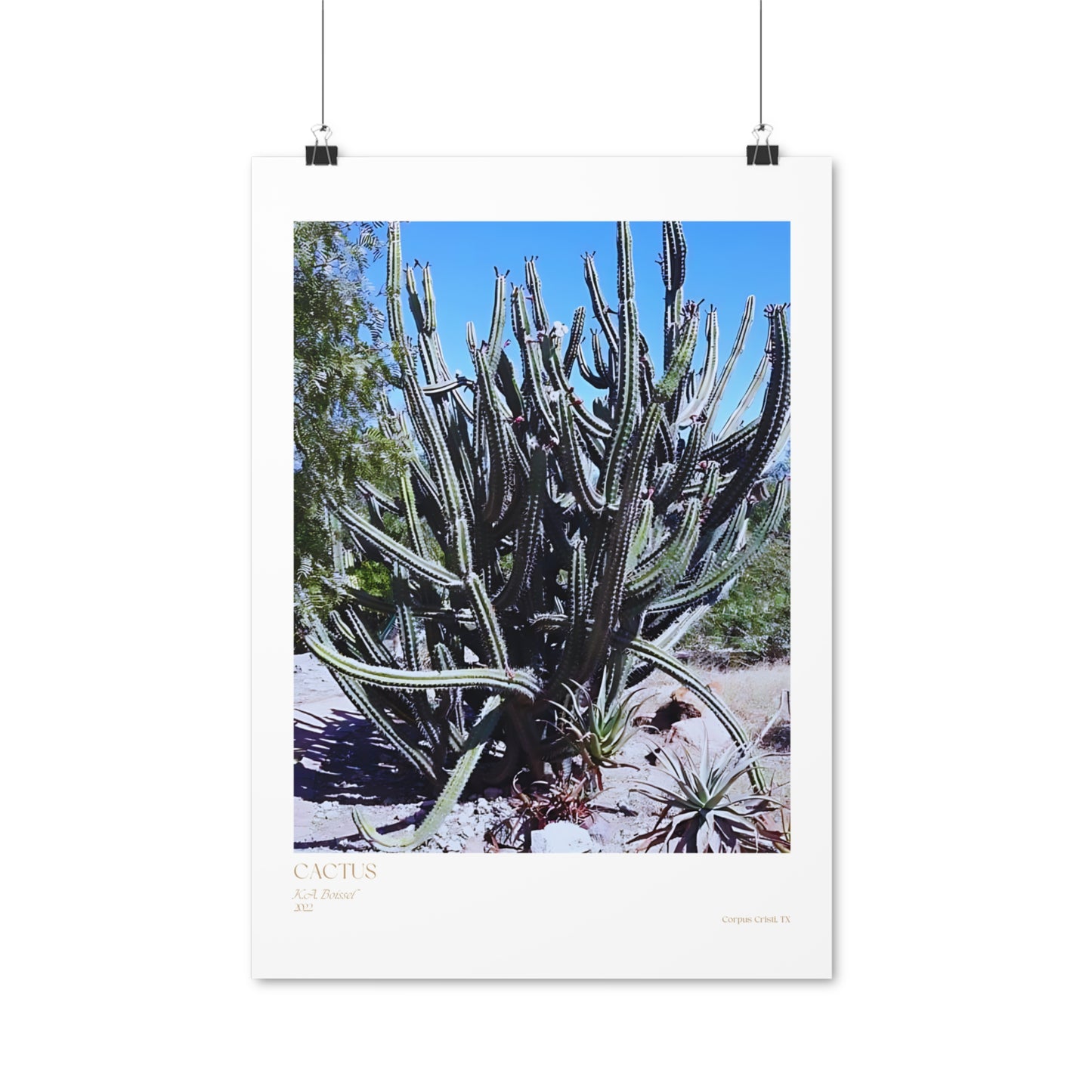 Cactus Photograph Vertical Posters EU