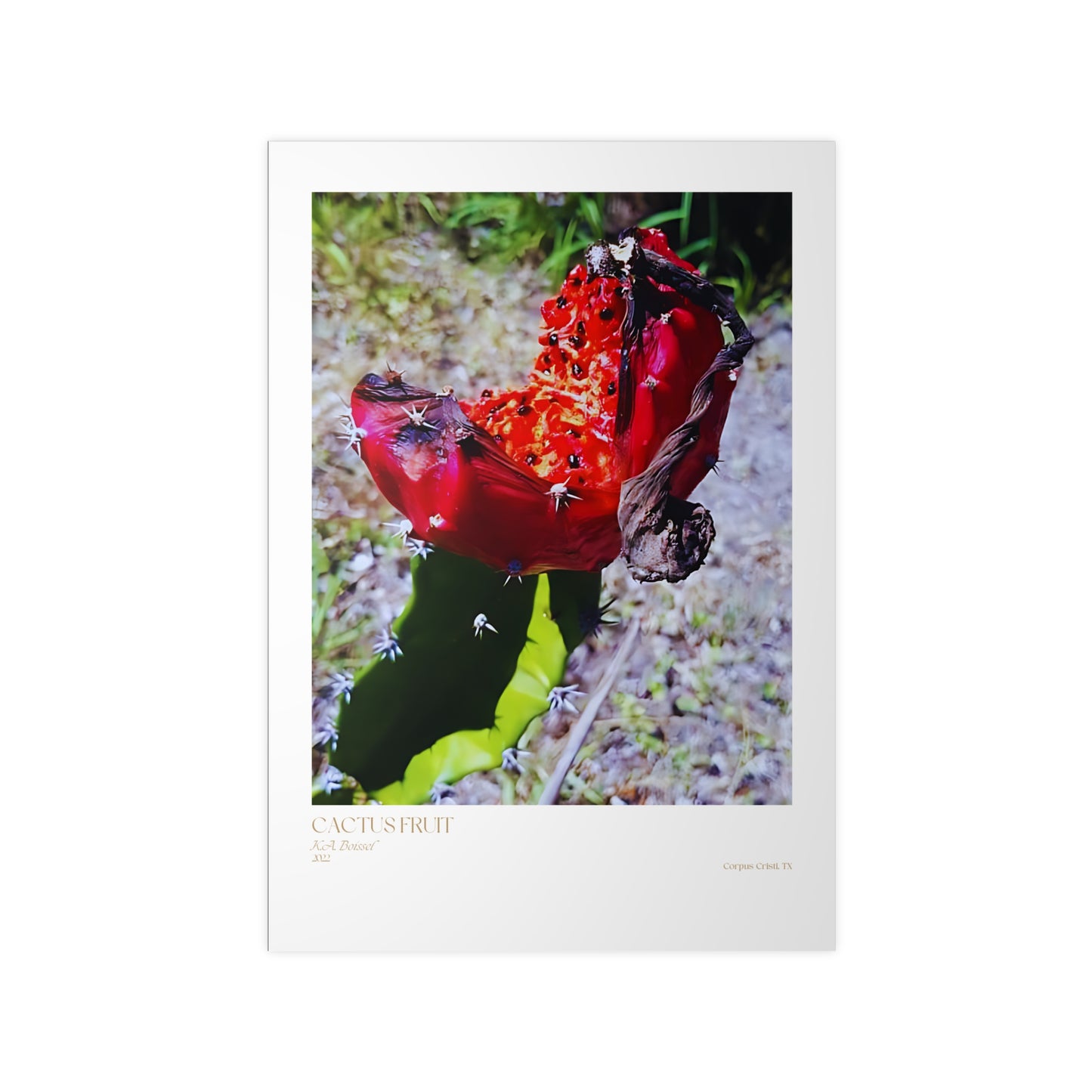 Cactus Fruit Photograph Vertical Posters EU